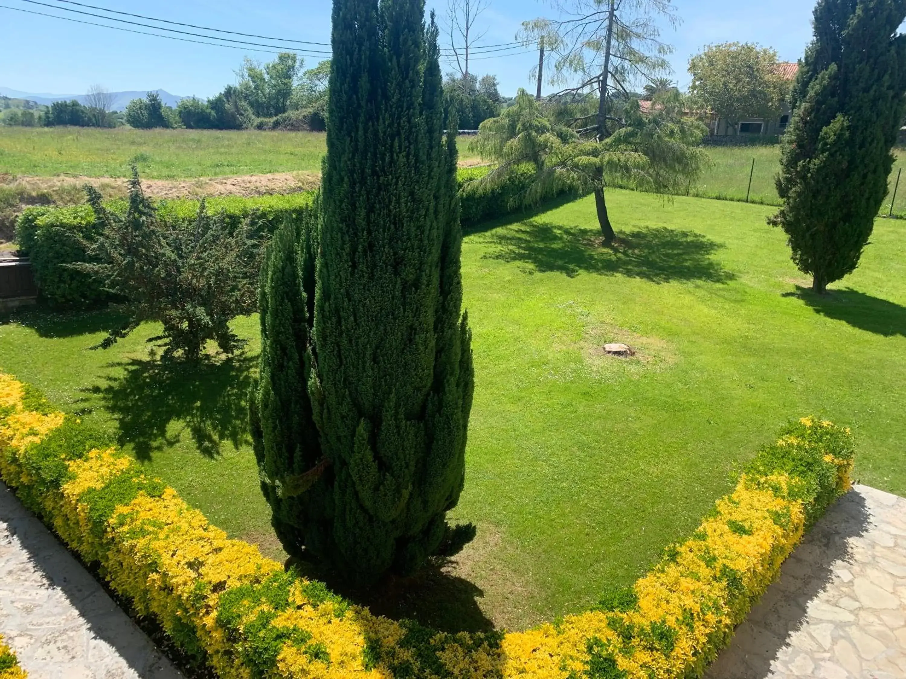 Garden in Hotel Siglo XVIII