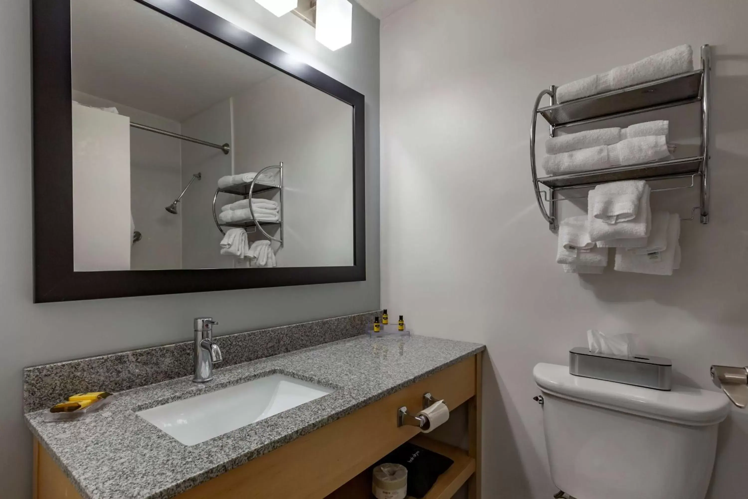 Queen Room with Kitchenette - Non-Smoking in Best Western Plus University Inn Queen Room with Kitchenette - Non-Smoking in Best Western Plus University Inn