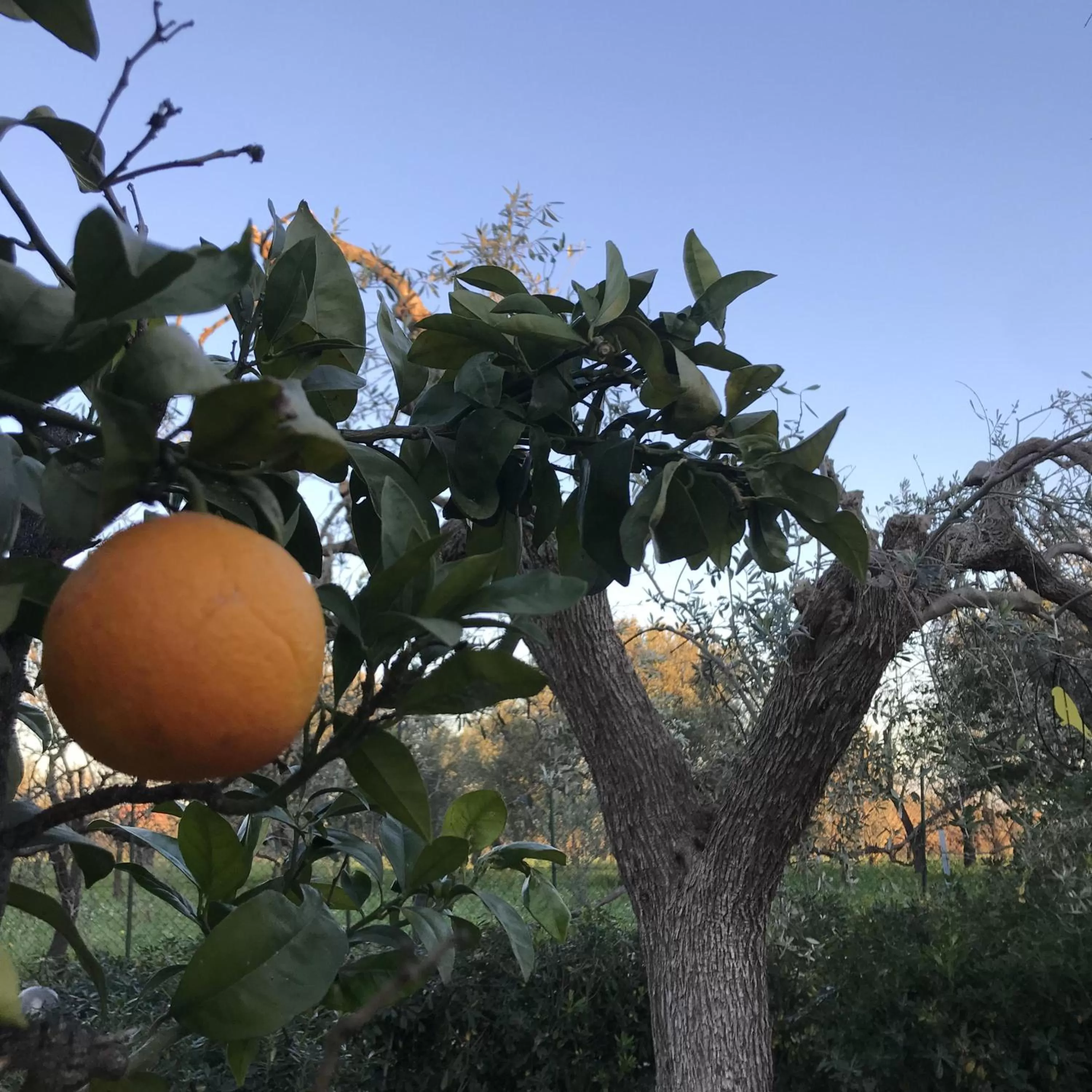 Property building in CasapiuHolidaySicilia-Adults Only