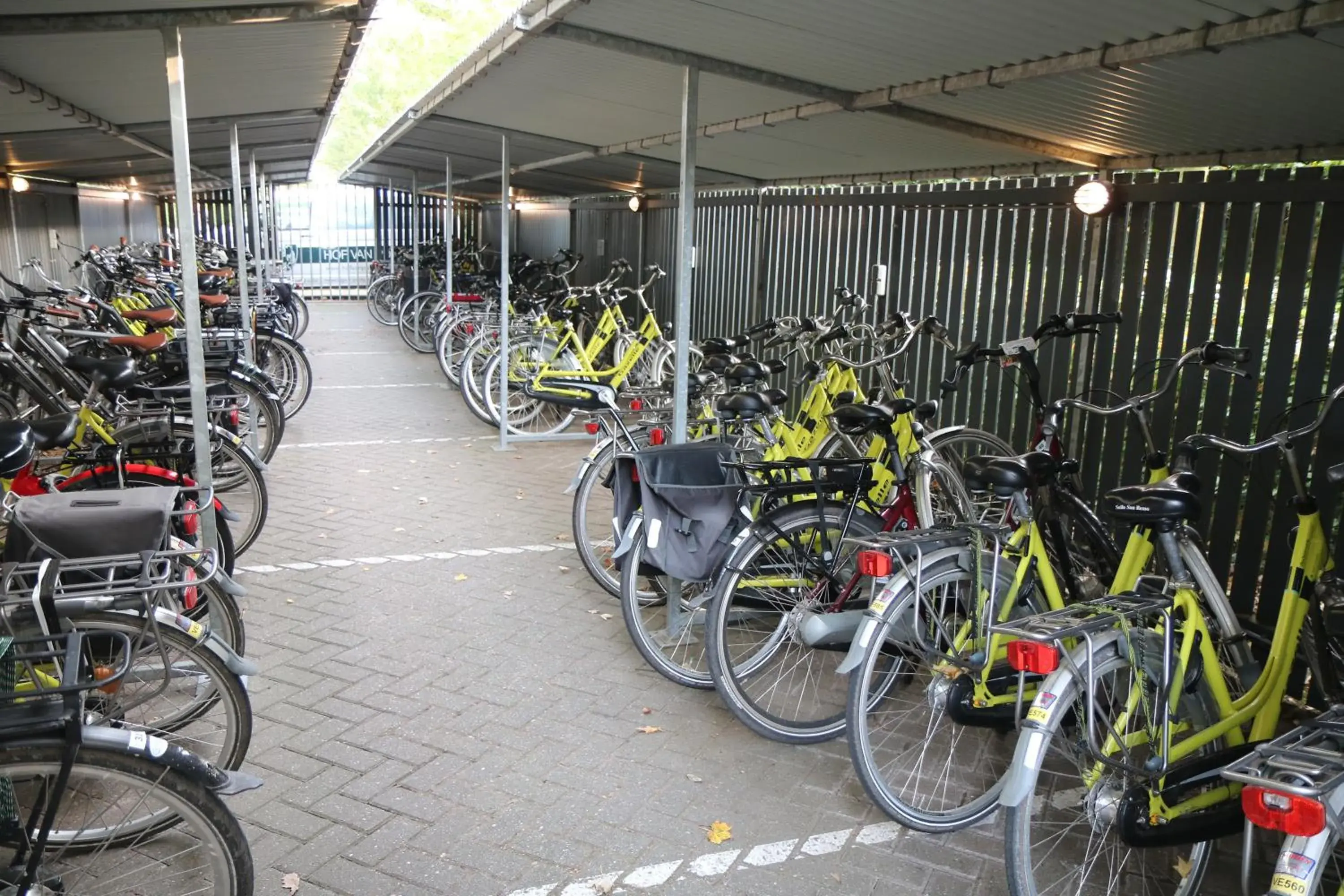 Cycling, Other Activities in Hof van Putten