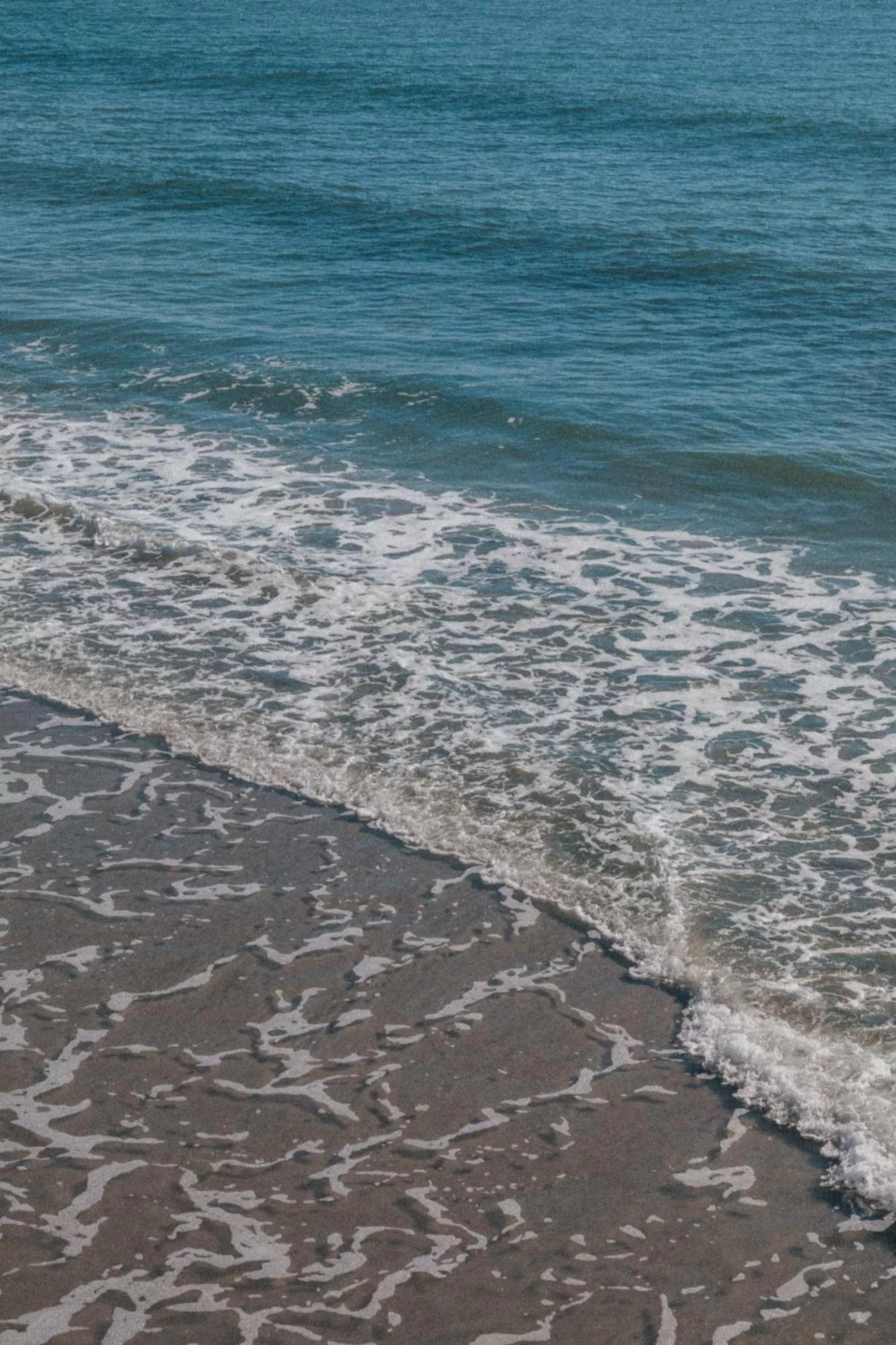 Beach in Sandcastle Oceanfront Resort South Beach