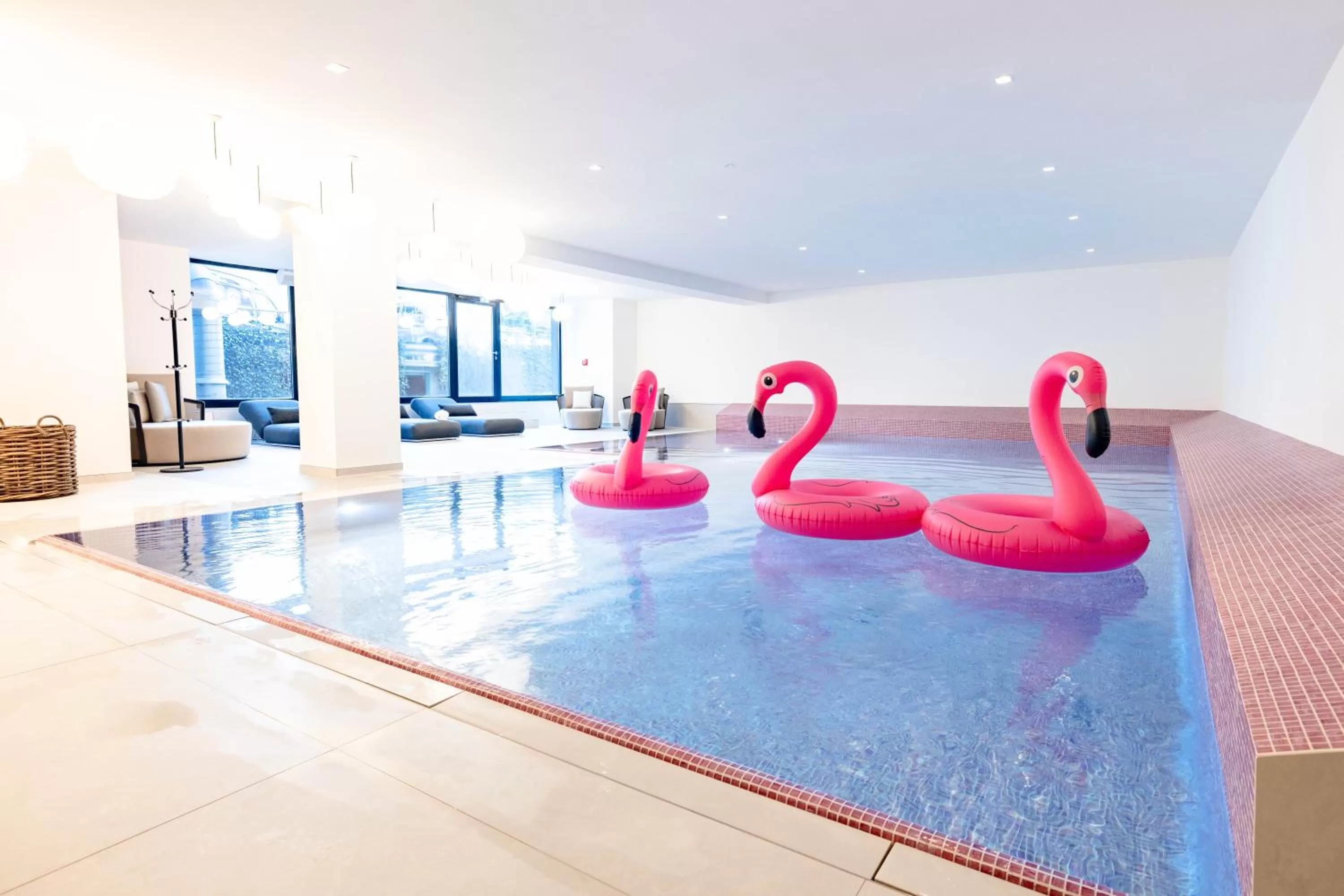 Swimming pool in The Flamingo