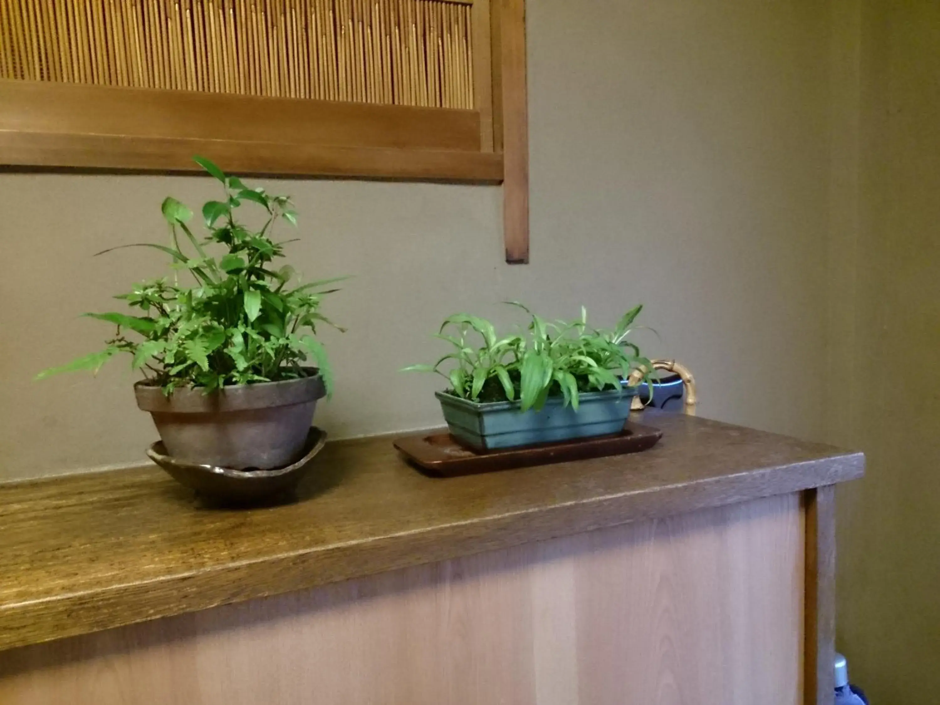 Decorative detail, Lobby/Reception in Ryokan Nakajimaya