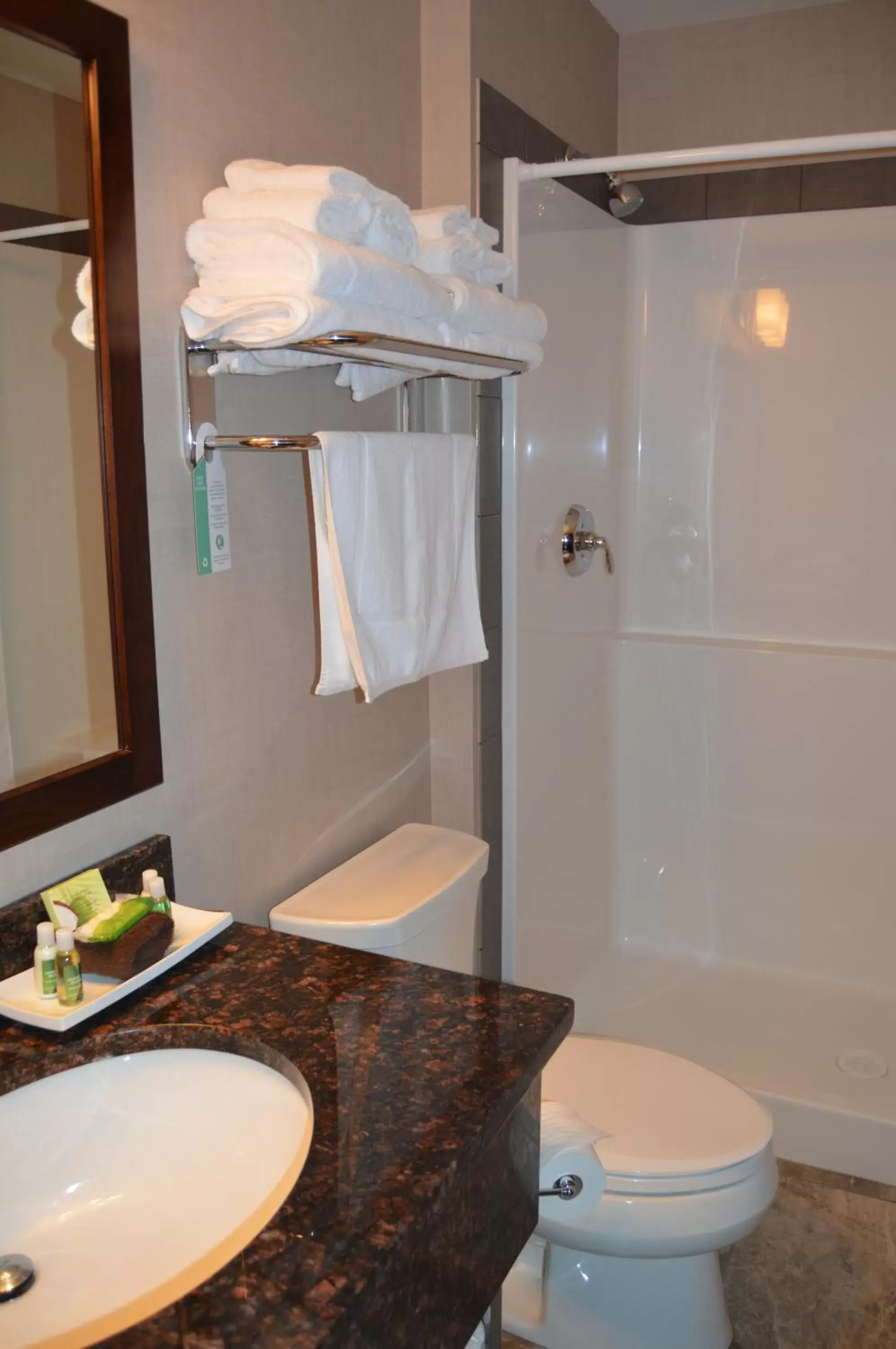 Shower, Bathroom in Cobble Creek Lodge