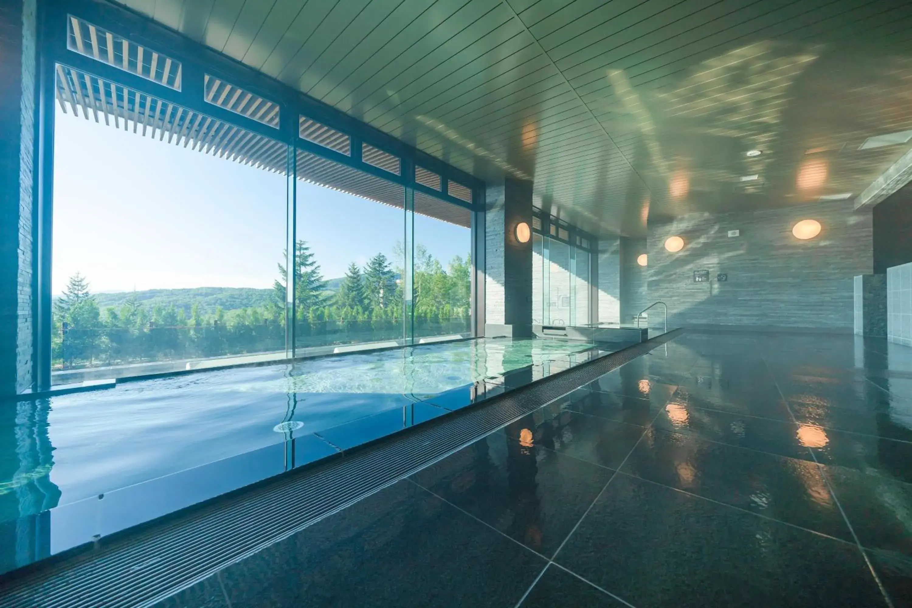 Spa and wellness centre/facilities, Swimming Pool in The Westin Rusutsu Resort