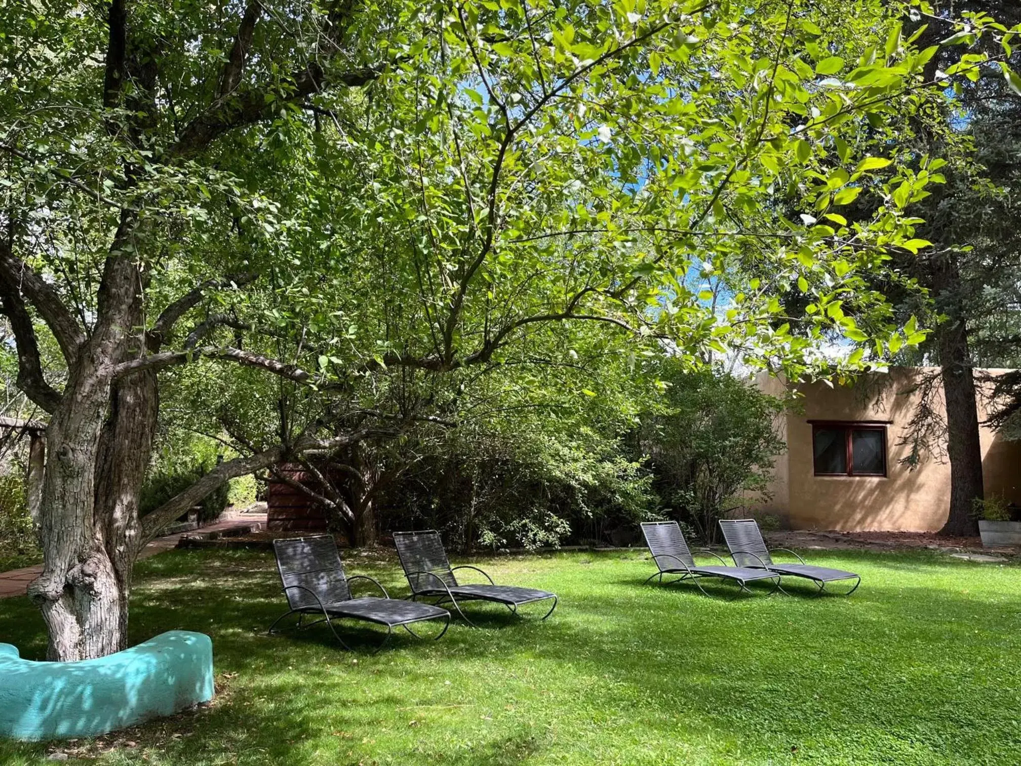 Garden in Hacienda Del Sol