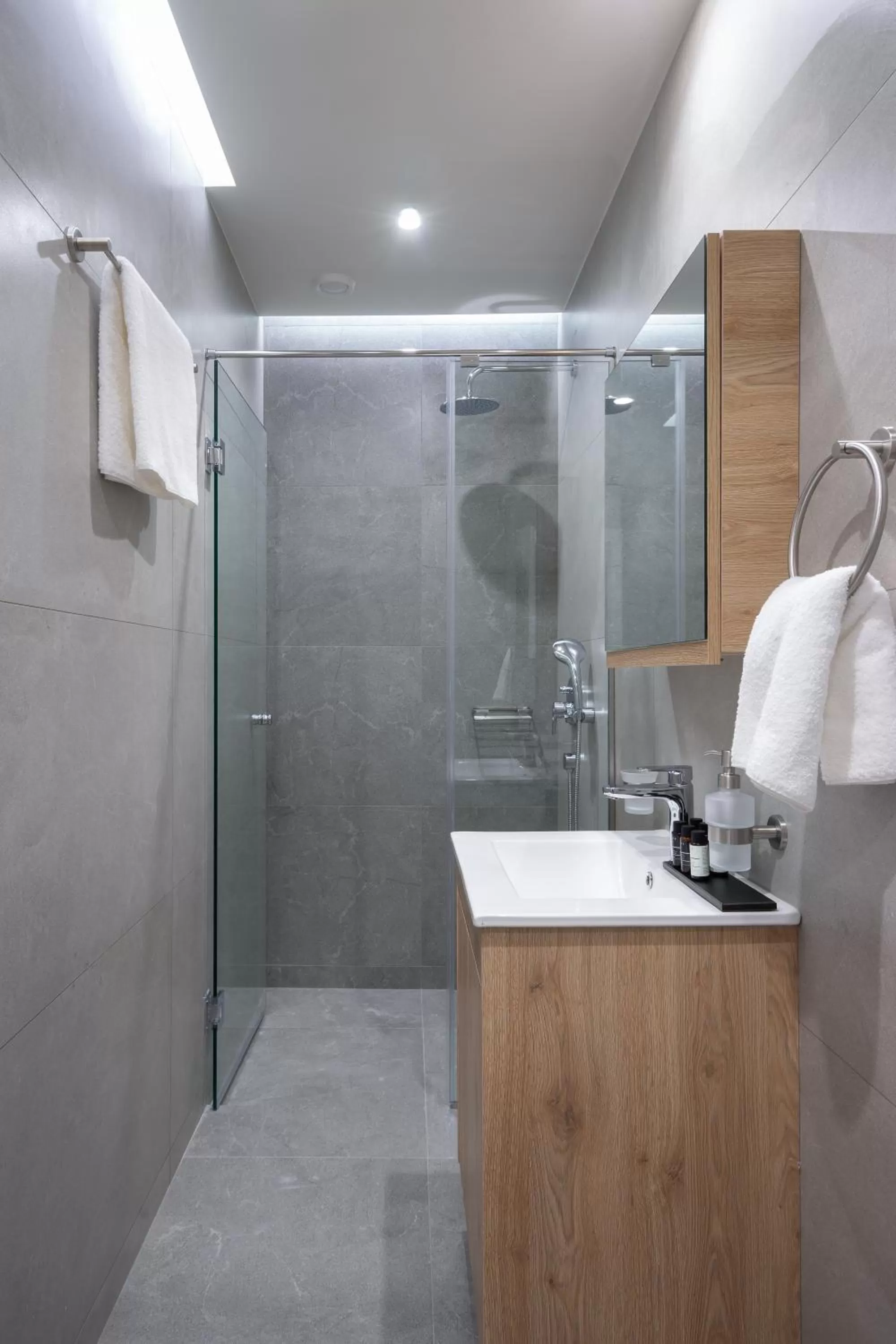 Shower in Hestia - Alexandras 38