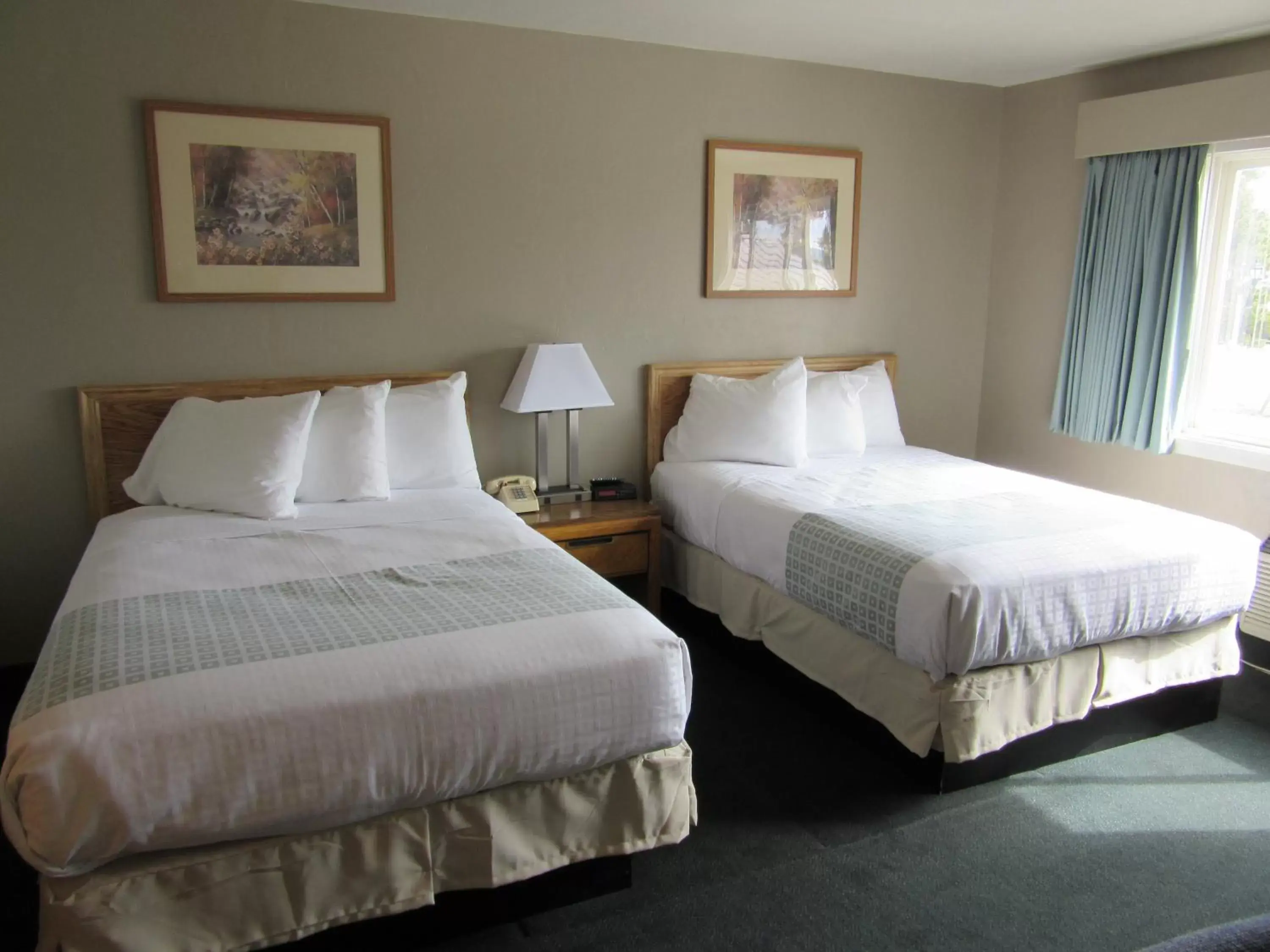 Photo of the whole room, Bed in White Buffalo Hotel