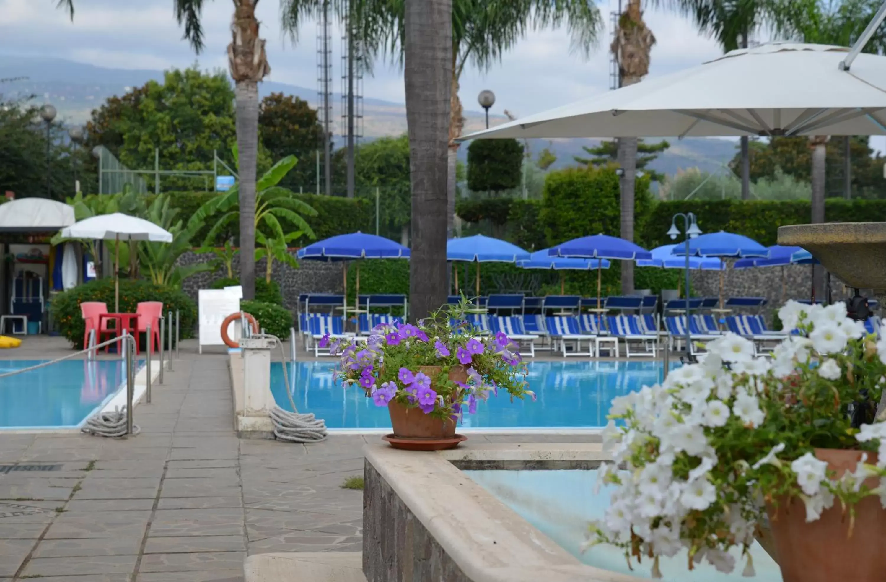 Garden, Swimming Pool in Atlantis Palace Hotel