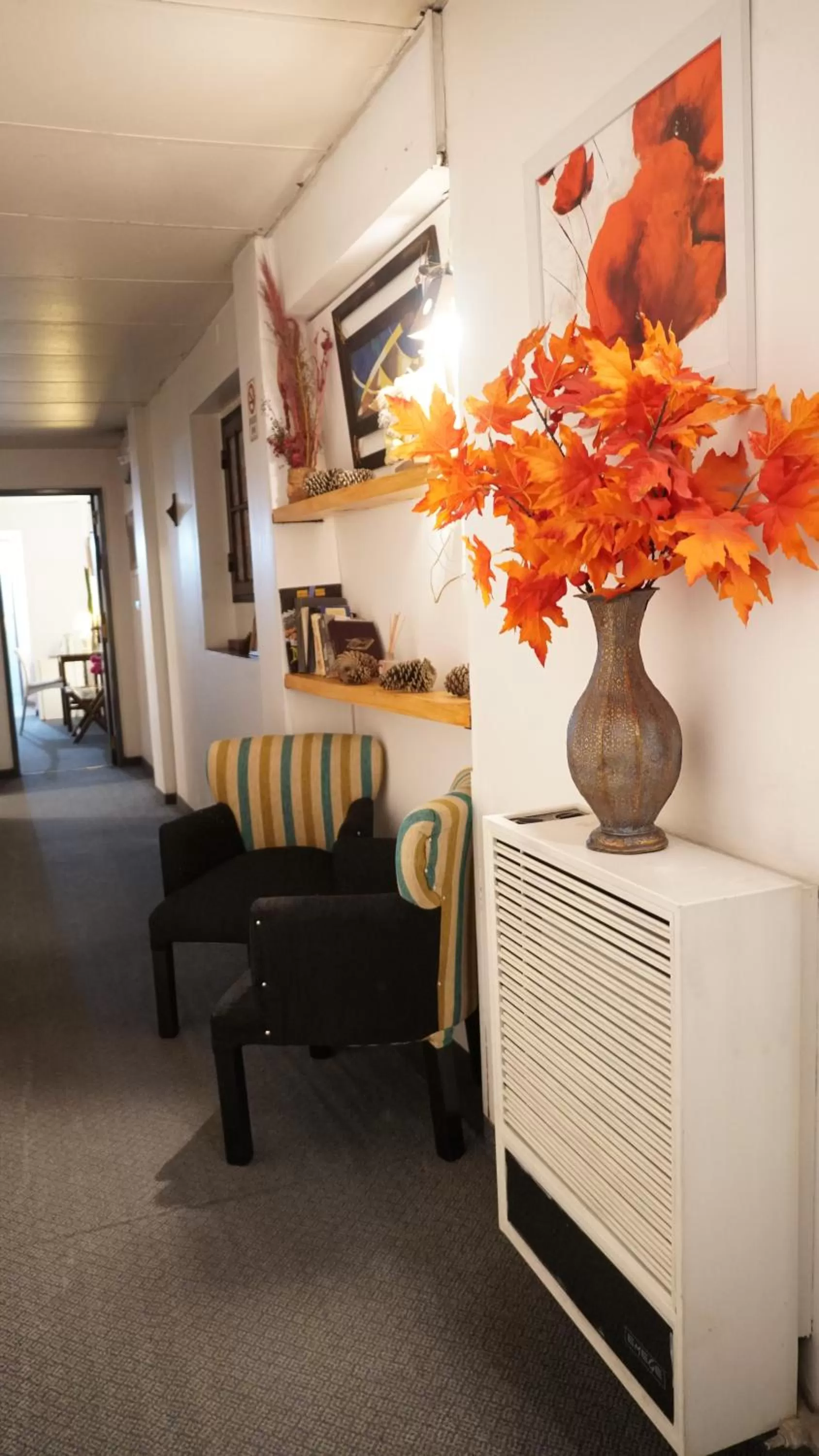 Hostel Spa Mediterranea