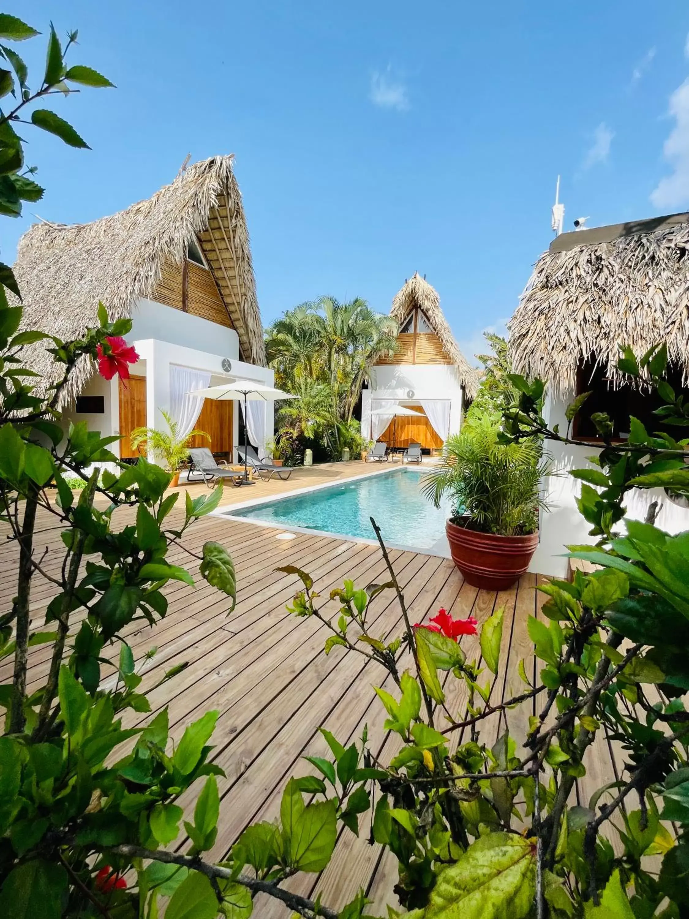 Swimming Pool in Leeloo Boutique Hotel