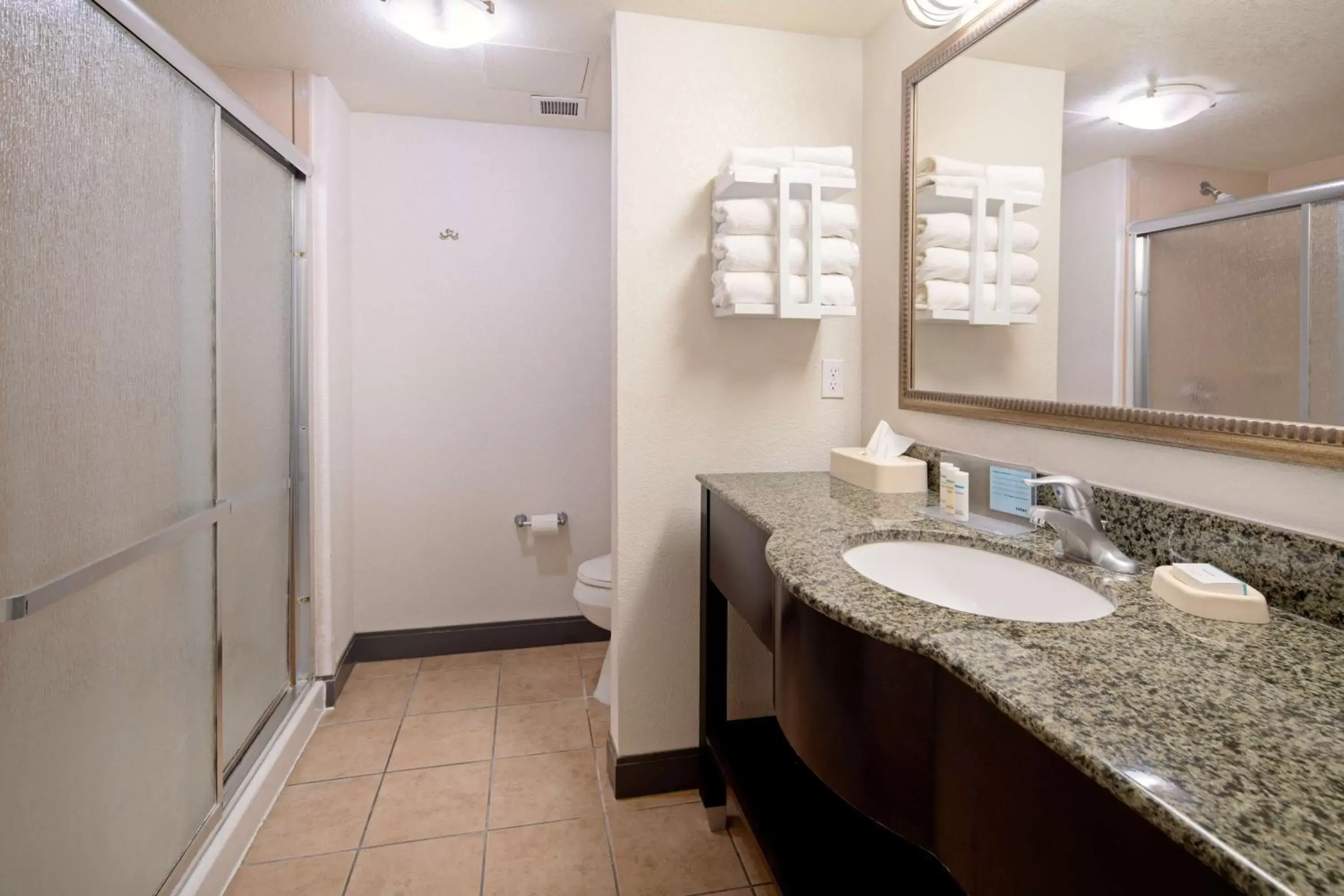 Bathroom in Hampton Inn and Suites Bakersfield / Highway 58