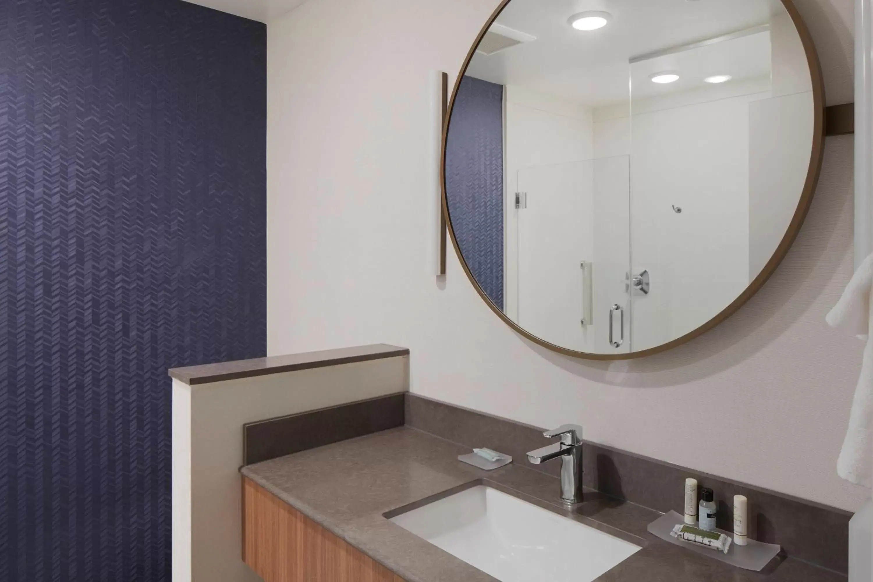 Bathroom in Fairfield Inn & Suites by Marriott Stony Creek