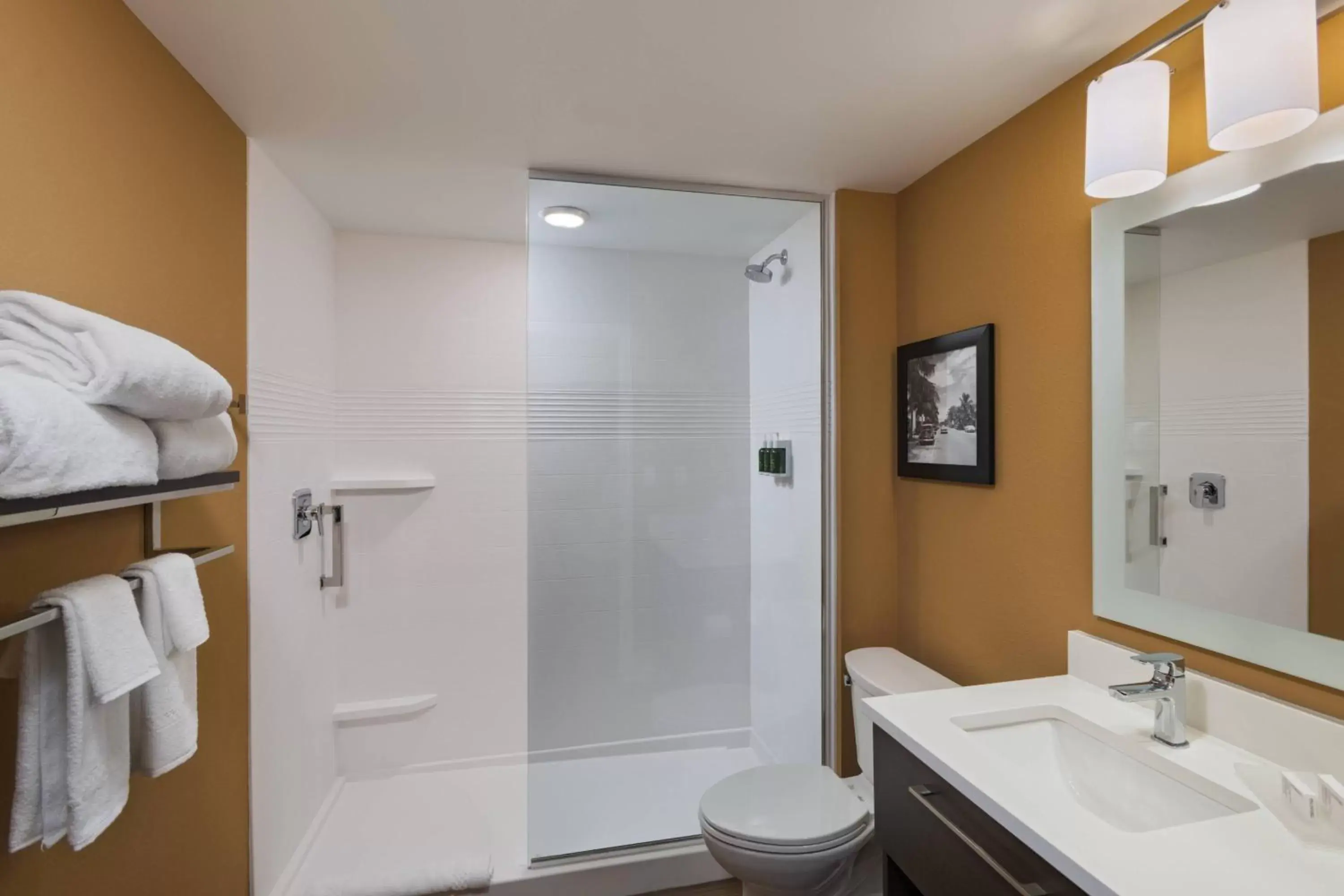 Bathroom in TownePlace Suites Naples