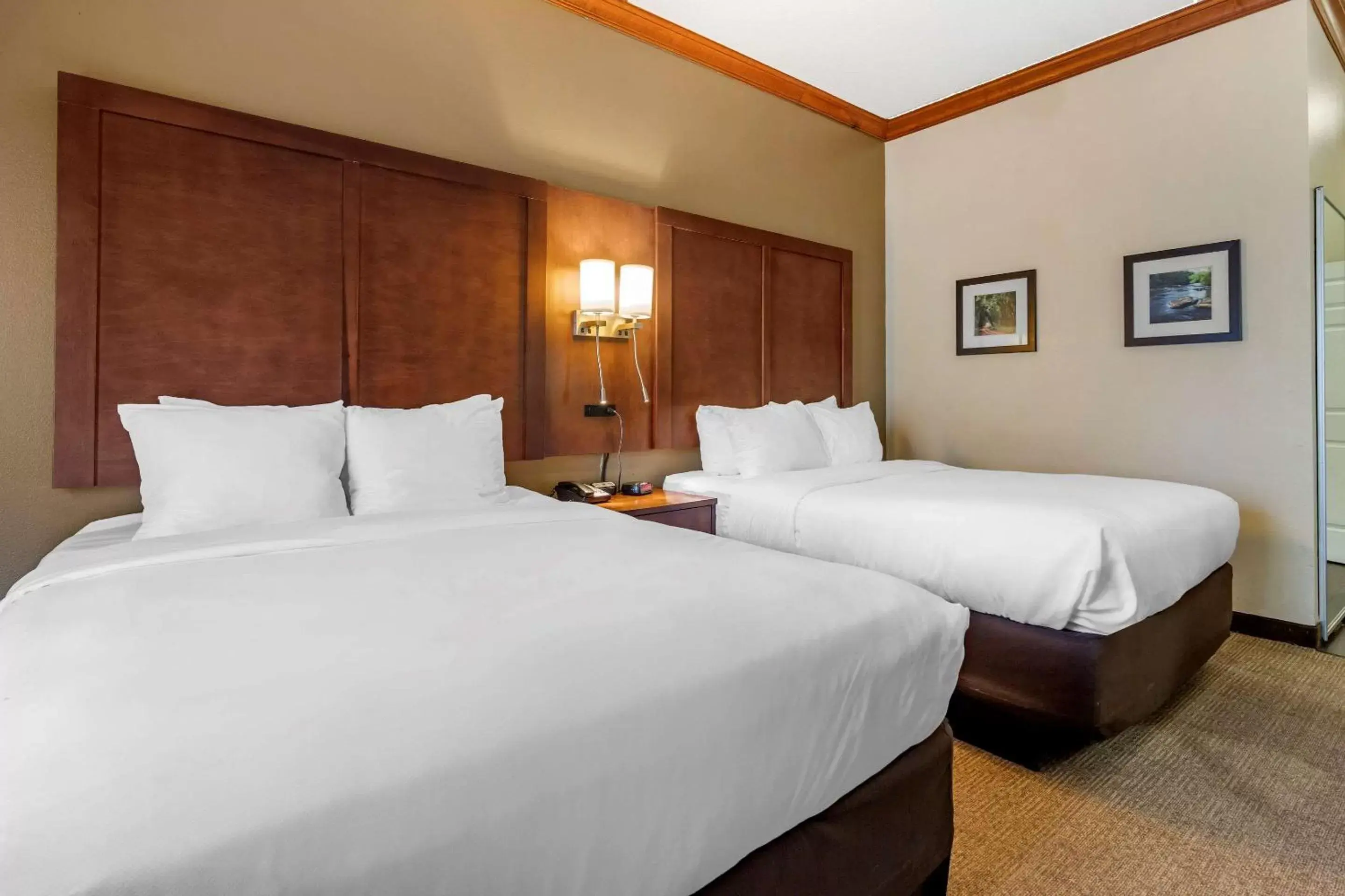 Photo of the whole room, Bed in Comfort Inn & Suites Statesboro - University Area Photo of the whole room, Bed in Comfort Inn & Suites Statesboro - University Area