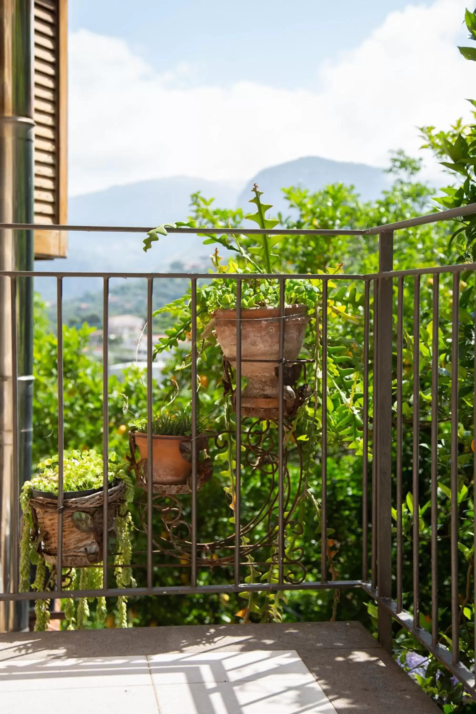 Agriturismo b&b L arancio In fiore