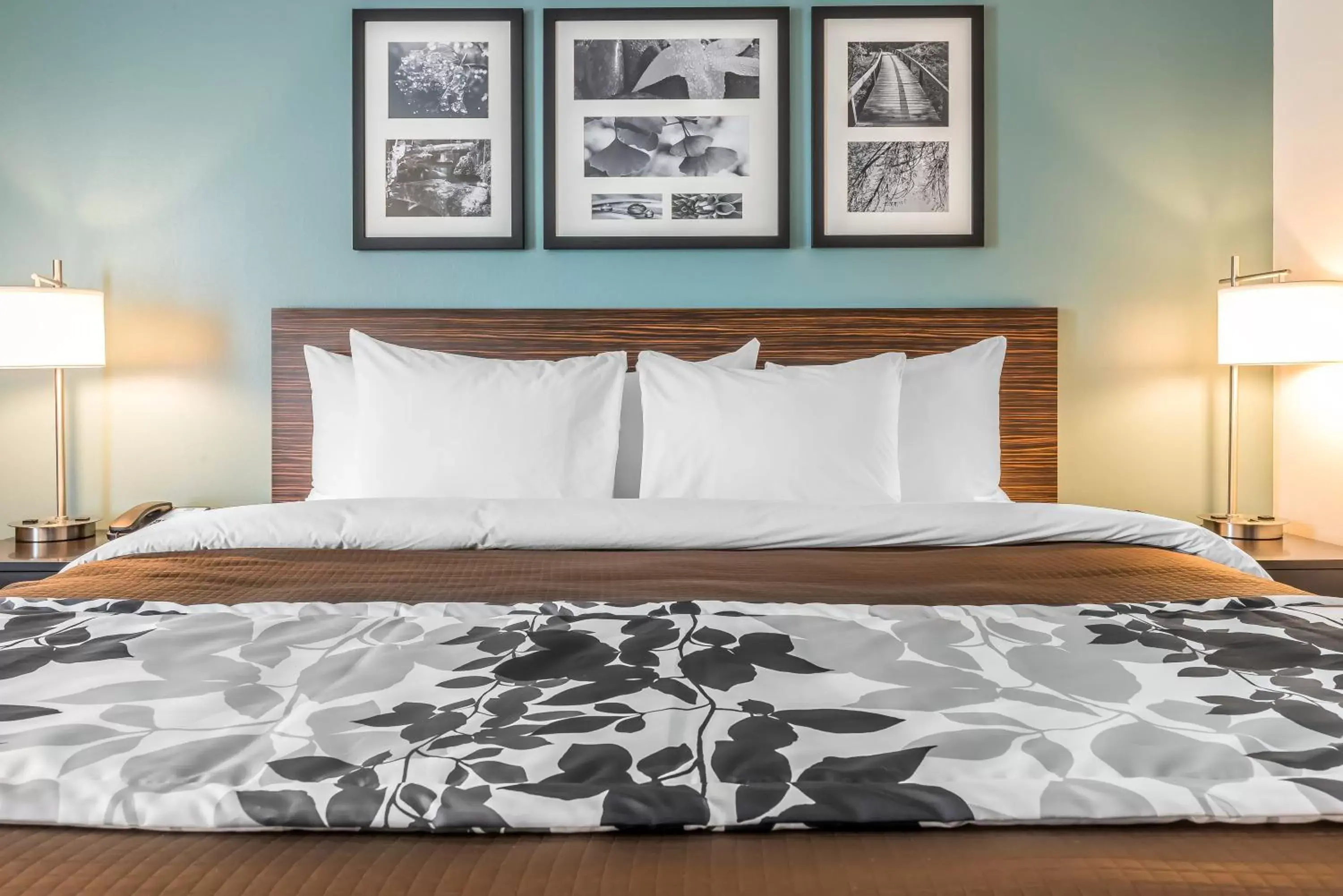 Bed in Sleep Inn & Suites Cumberland