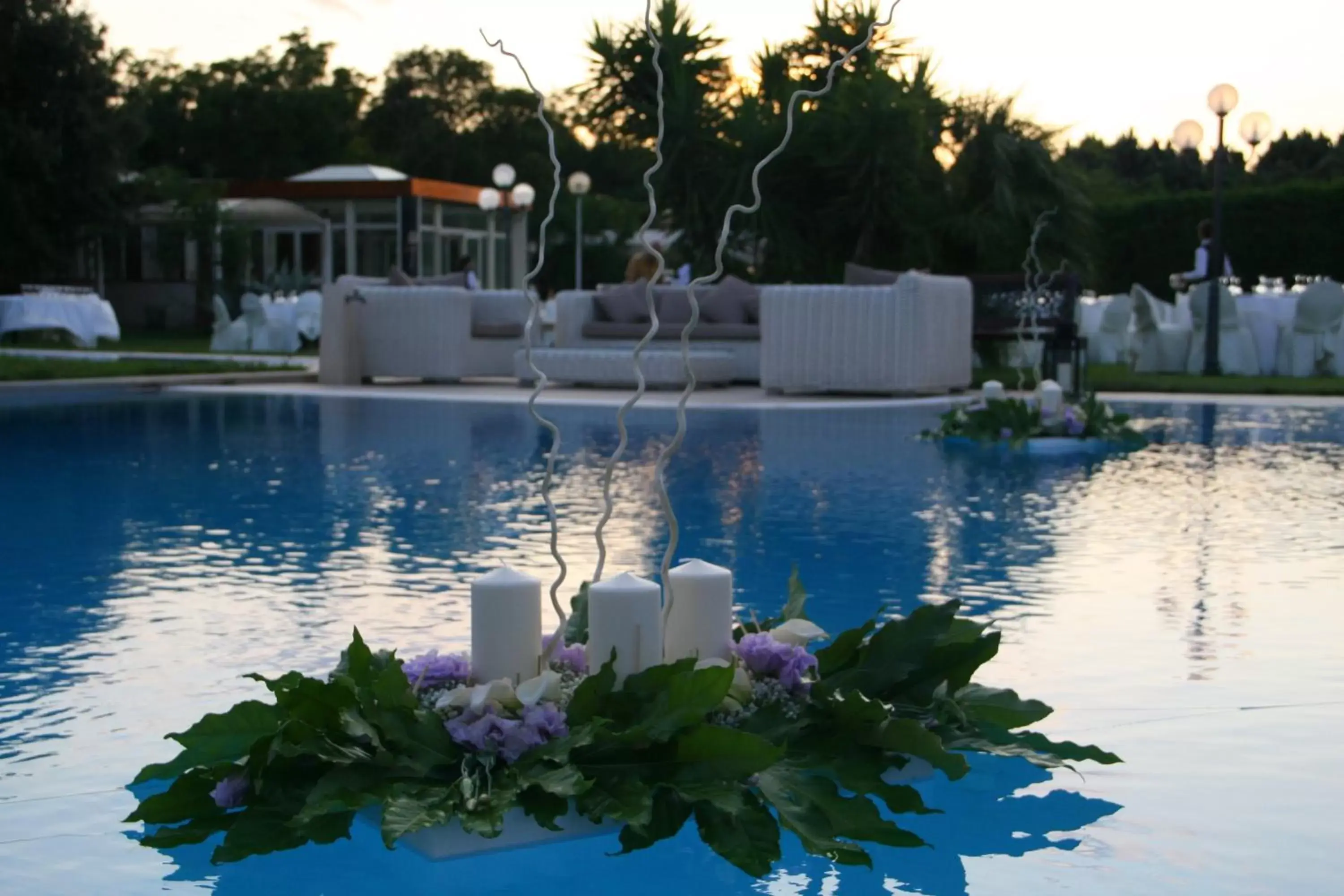 Garden, Swimming Pool in Hotel Hermitage