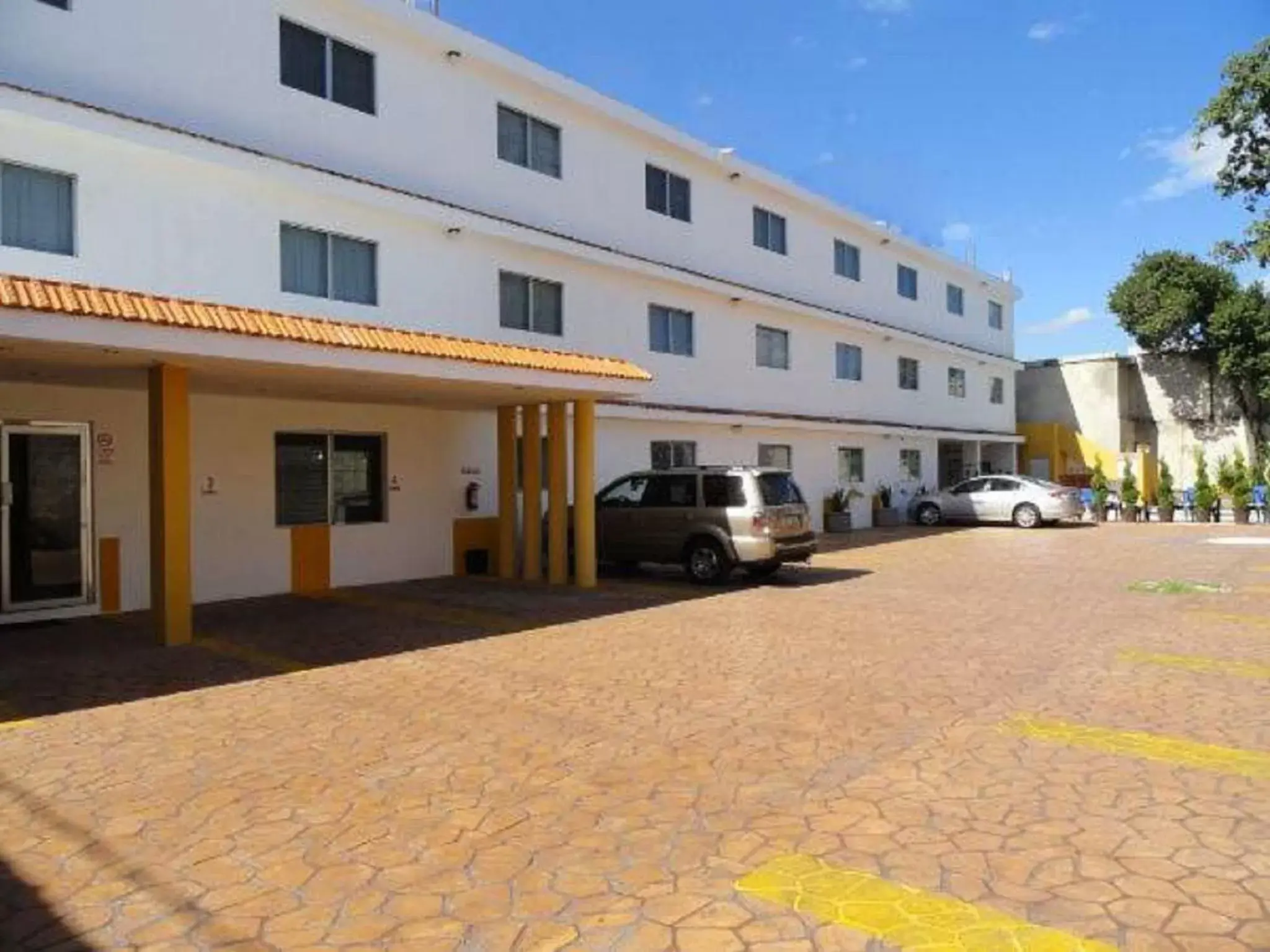 View (from property/room) in Hotel Las Dalias Inn View (from property/room) in Hotel Las Dalias Inn