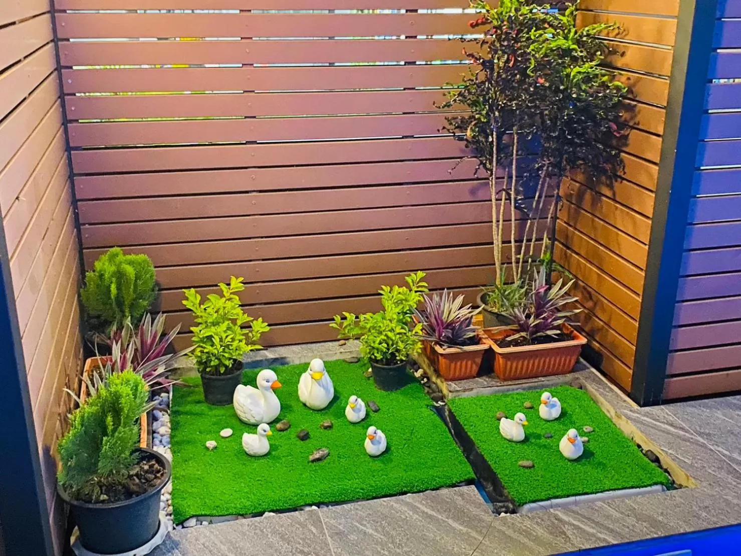 Swimming pool in The Morning mini house aonang