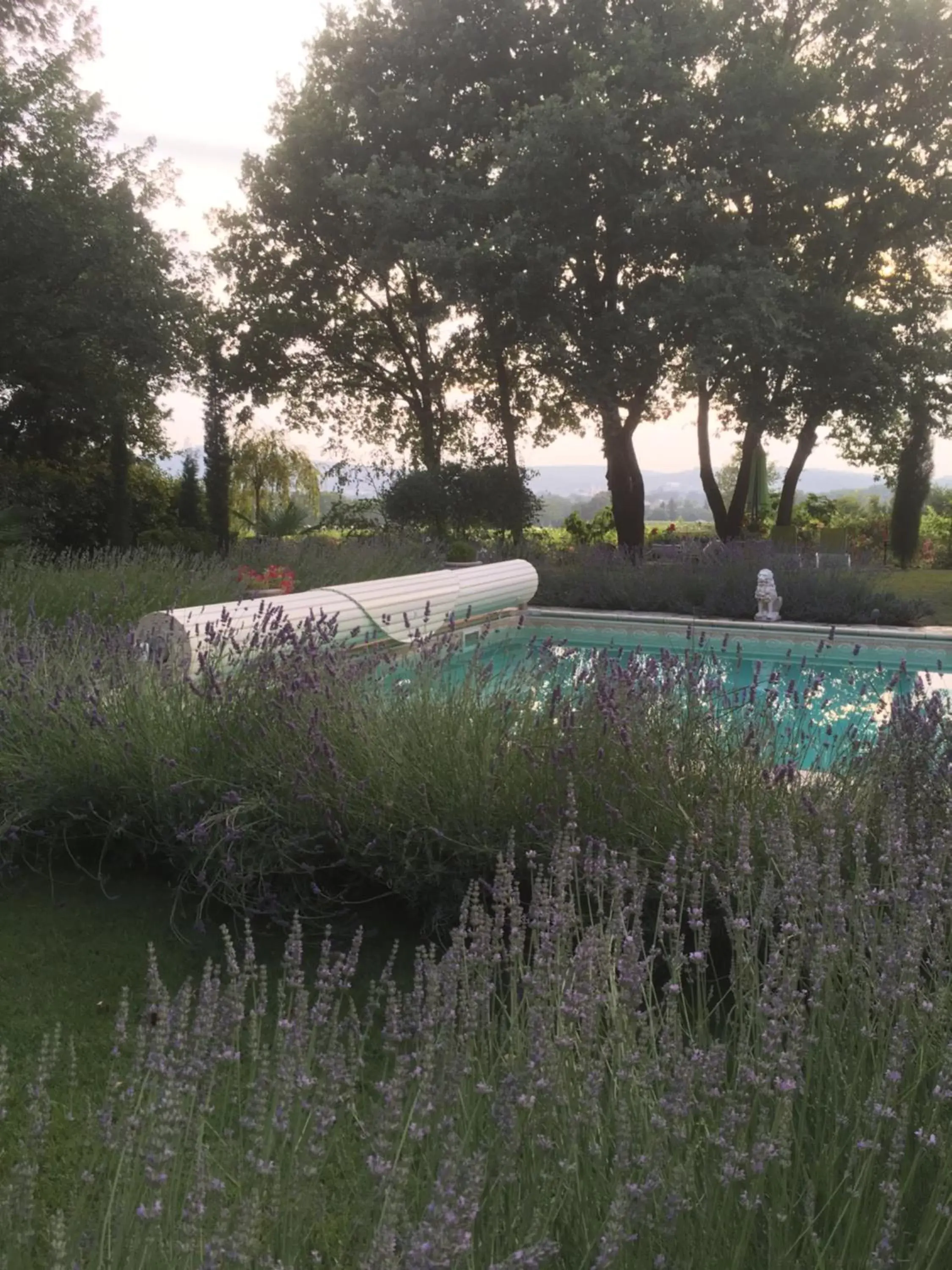 Garden view in Chambre d'Hôte Couguiolet - avec piscine