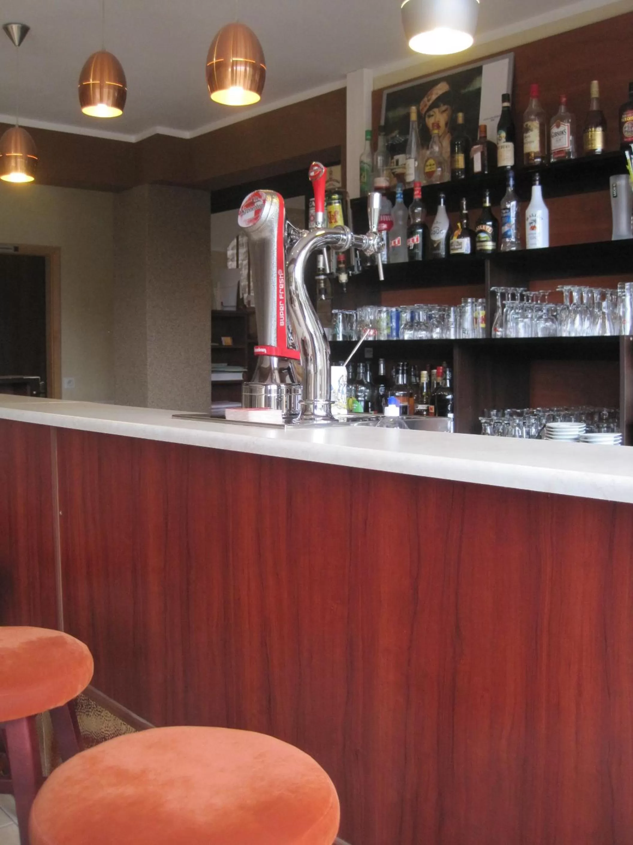 Lounge or bar in Hotel Restaurant Rive Gauche