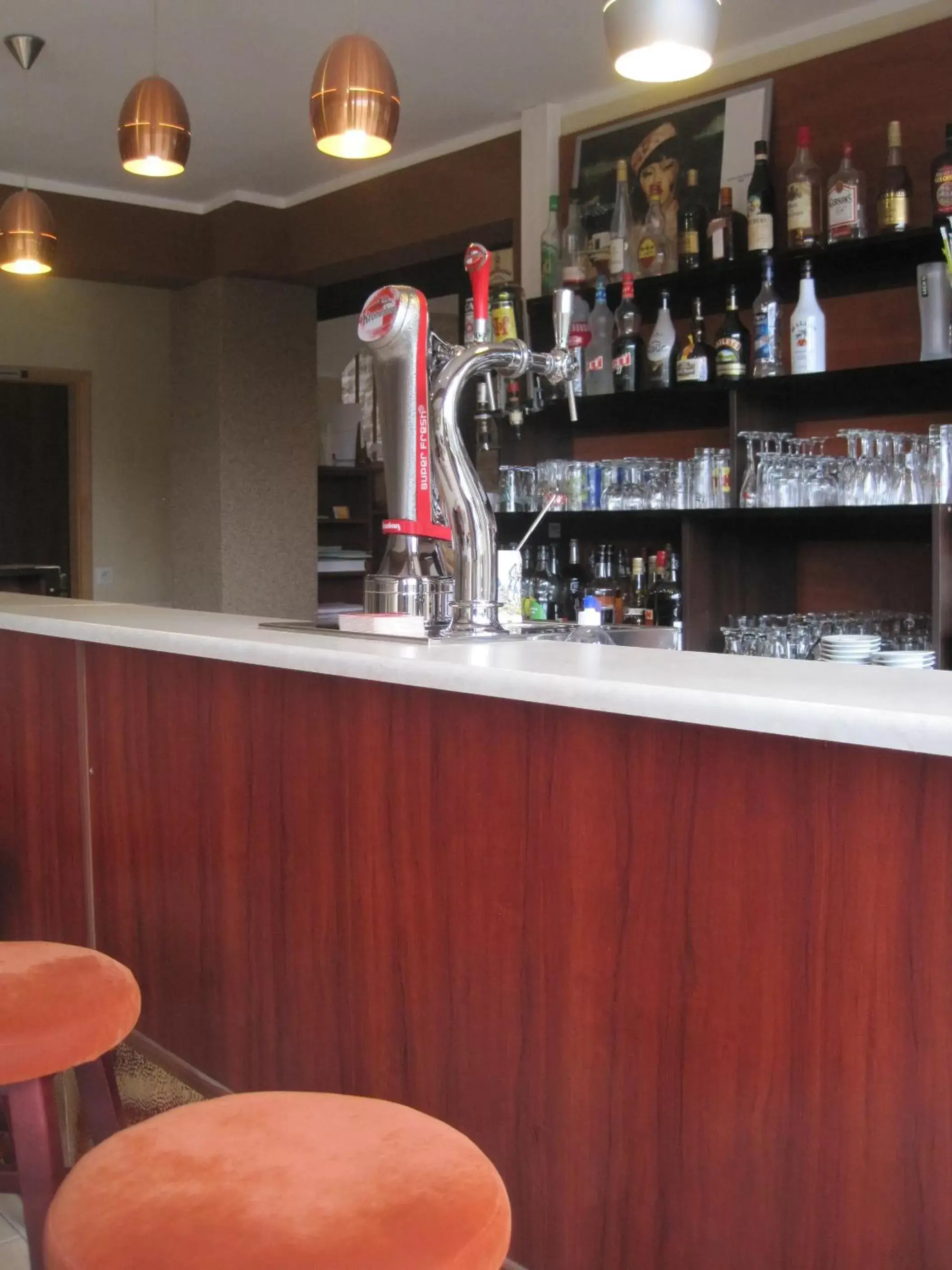 Lounge or bar, Lounge/Bar in Hotel Restaurant Rive Gauche