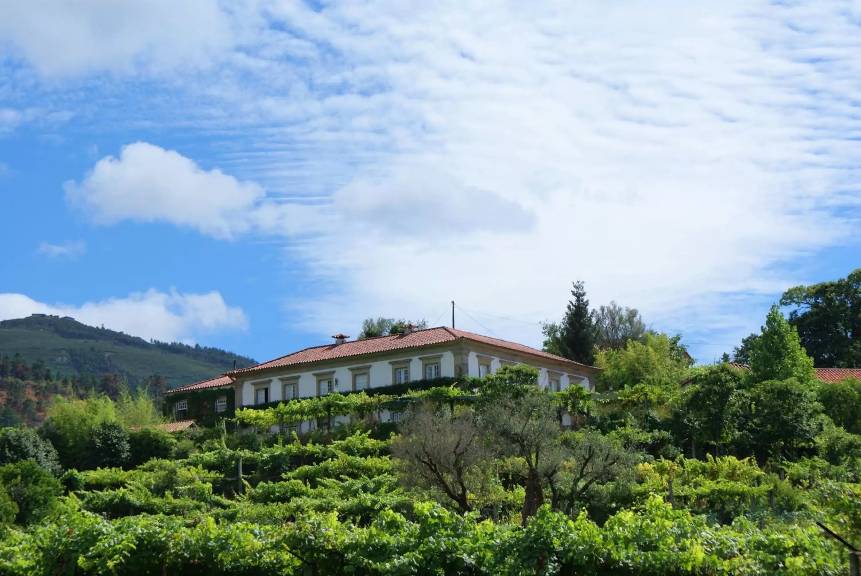 Property Building in Casa da Várzea