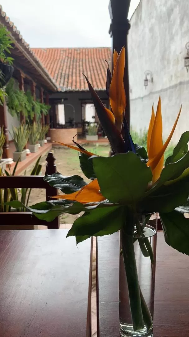 Patio in Bohemia Hotel Boutique