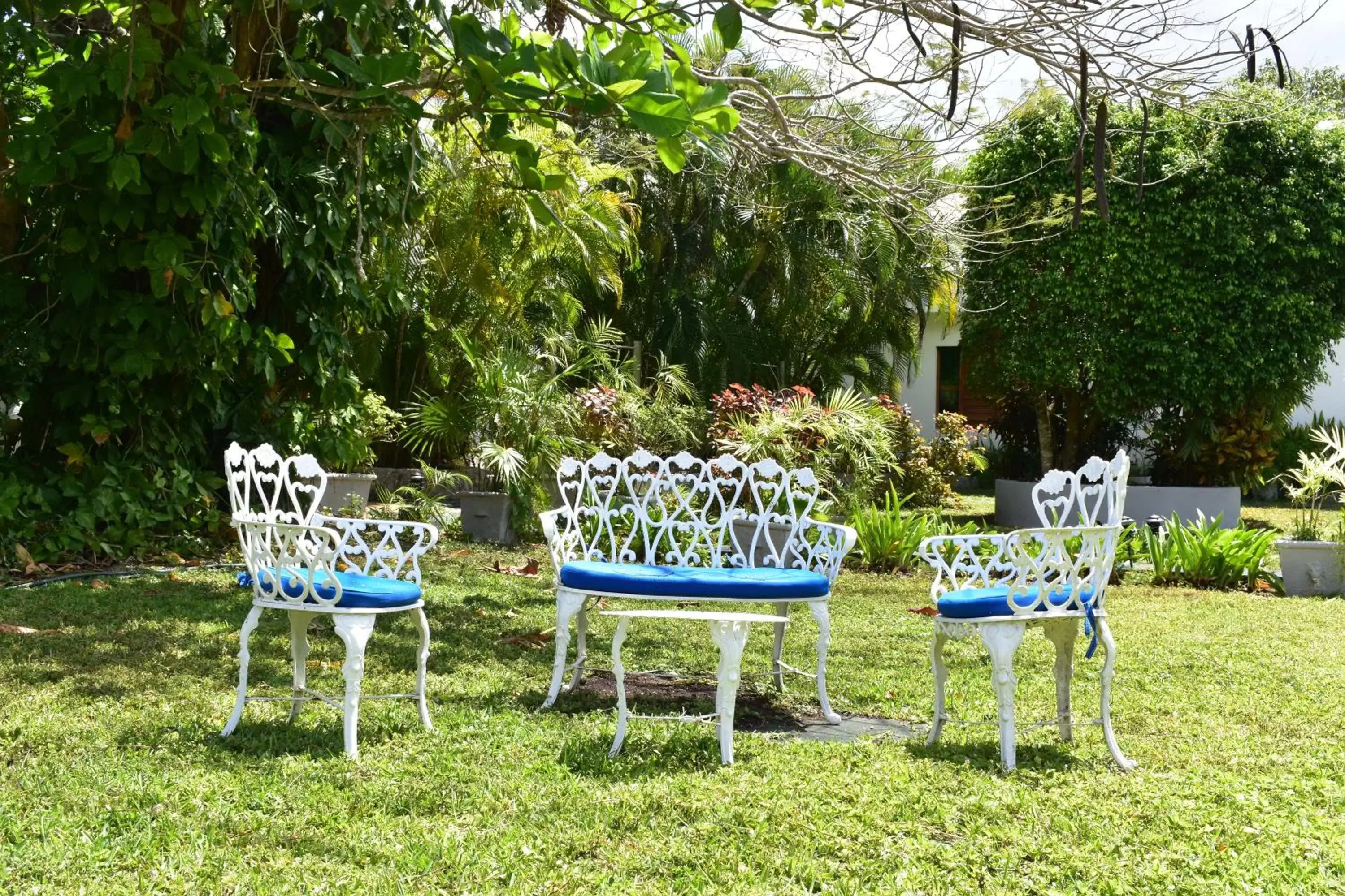 Seating area, Garden in Villablanca Garden Beach Hotel