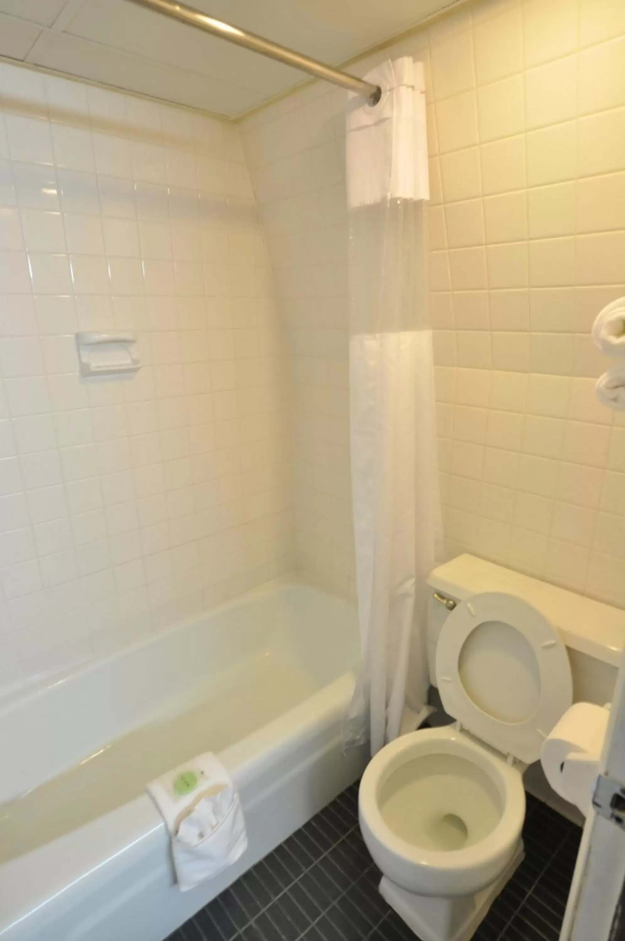 Shower, Bathroom in Sidney James Mountain Lodge