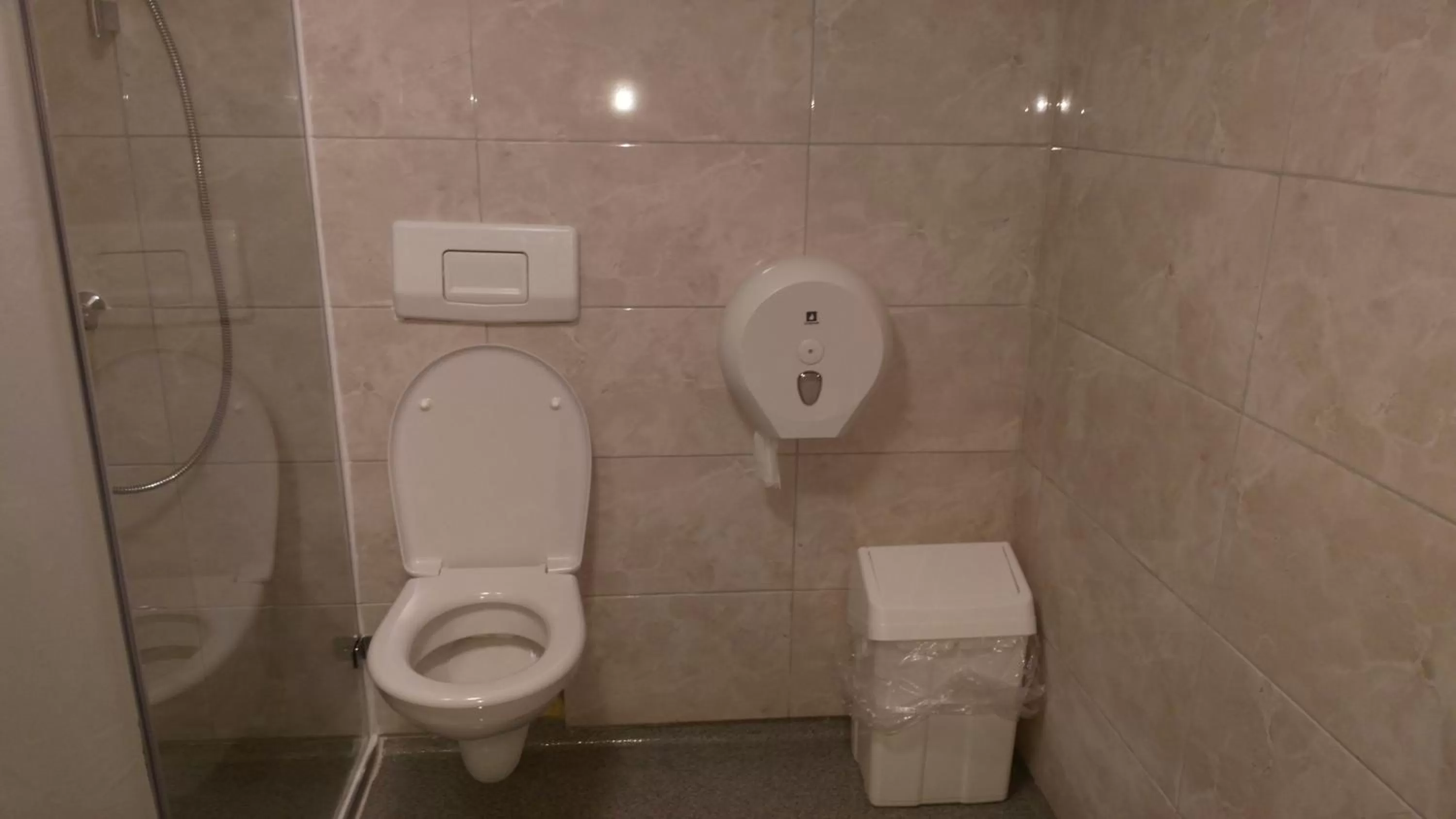 Toilet in 100 Iceland Hotel