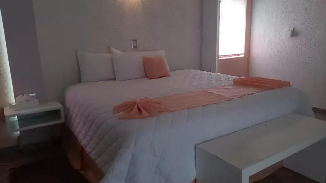 Bed in Hotel Medrano Temáticas and Business Rooms Aguascalientes