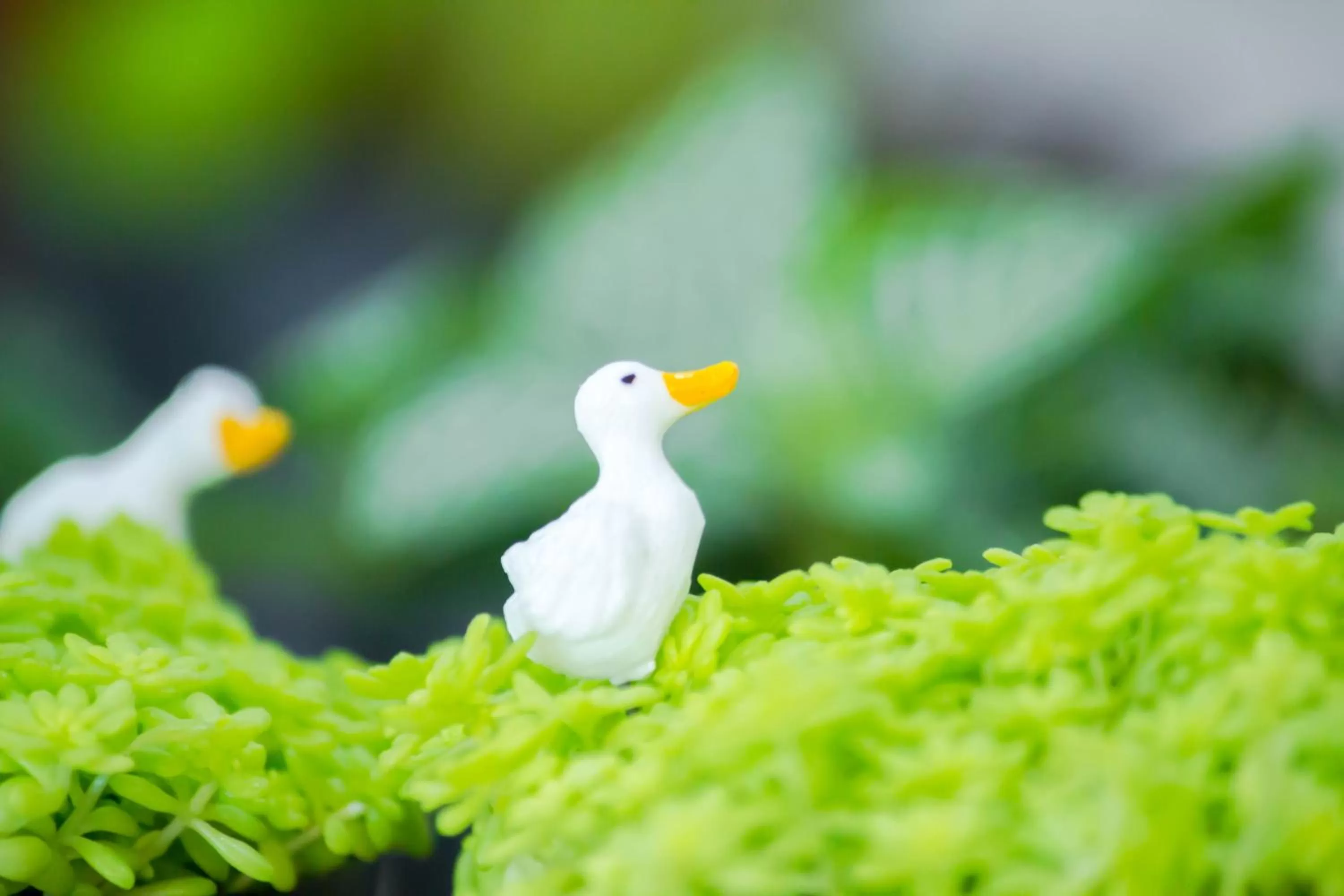 Decorative detail in Moca Hotel