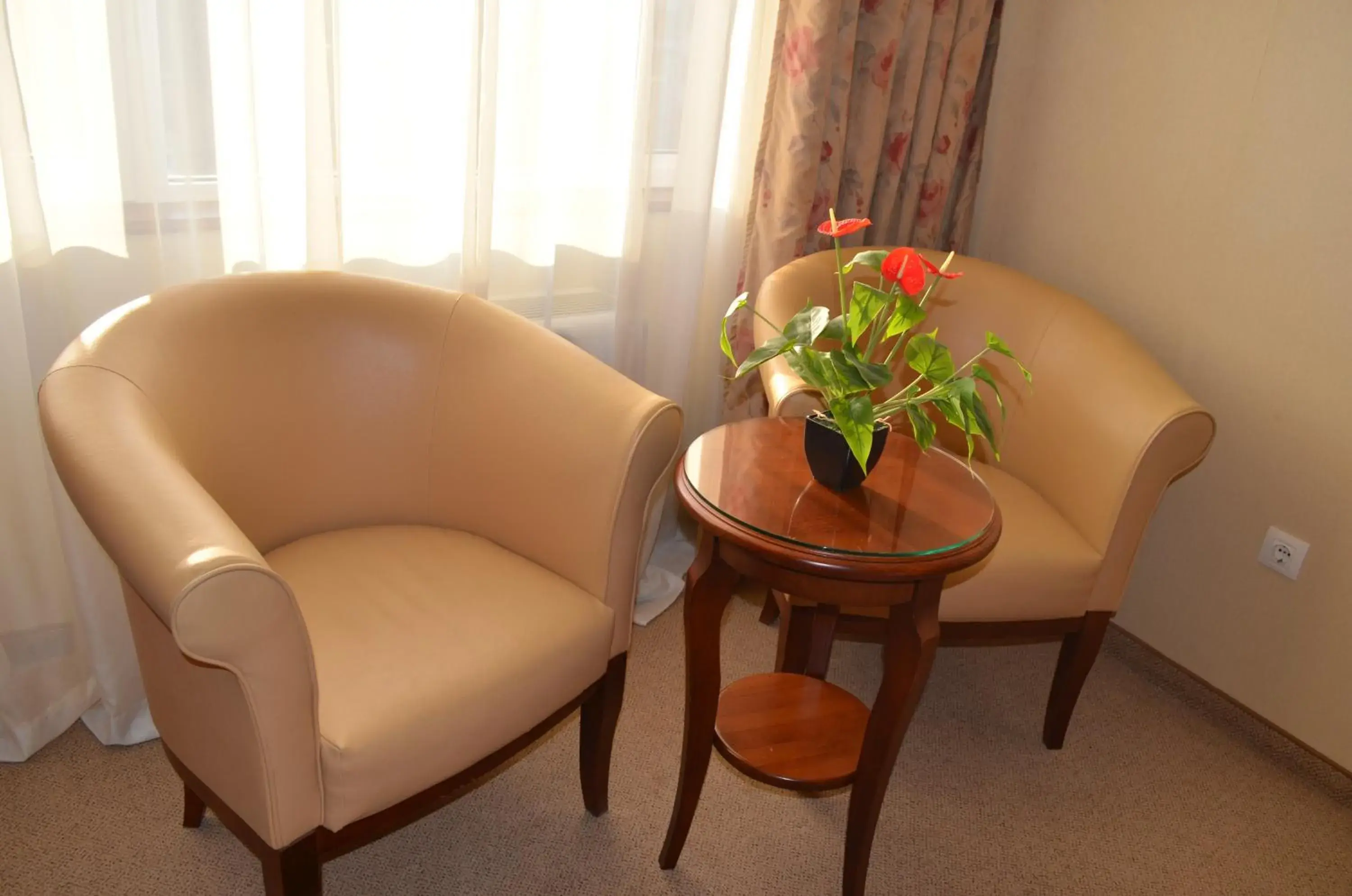 Photo of the whole room, Seating Area in Hotel Bankya Palace