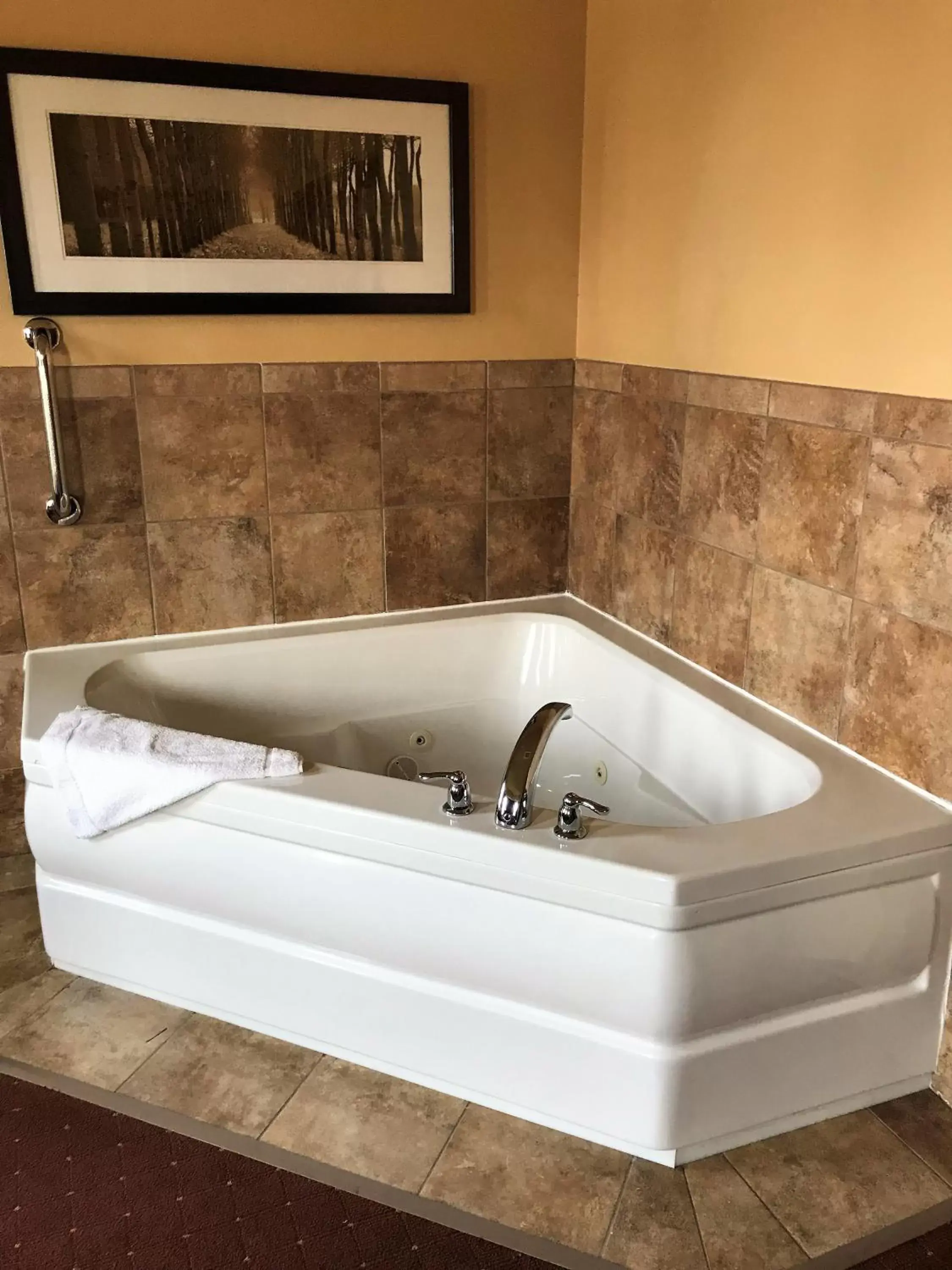 Hot Tub, Bathroom in AmericInn by Wyndham Fargo Medical Center