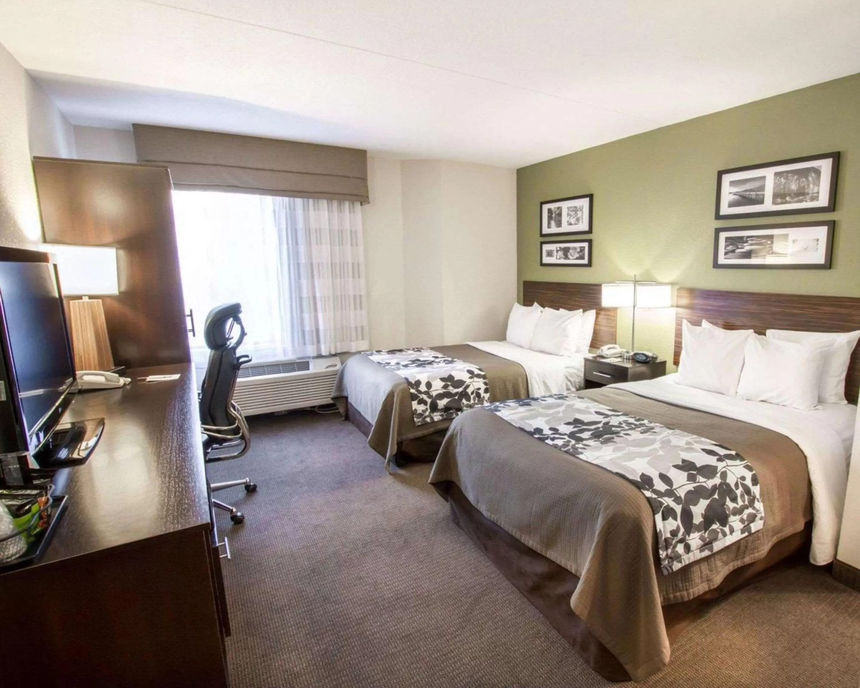 Photo of the whole room, Bed in Sleep Inn North Scottsdale near Mayo Clinic