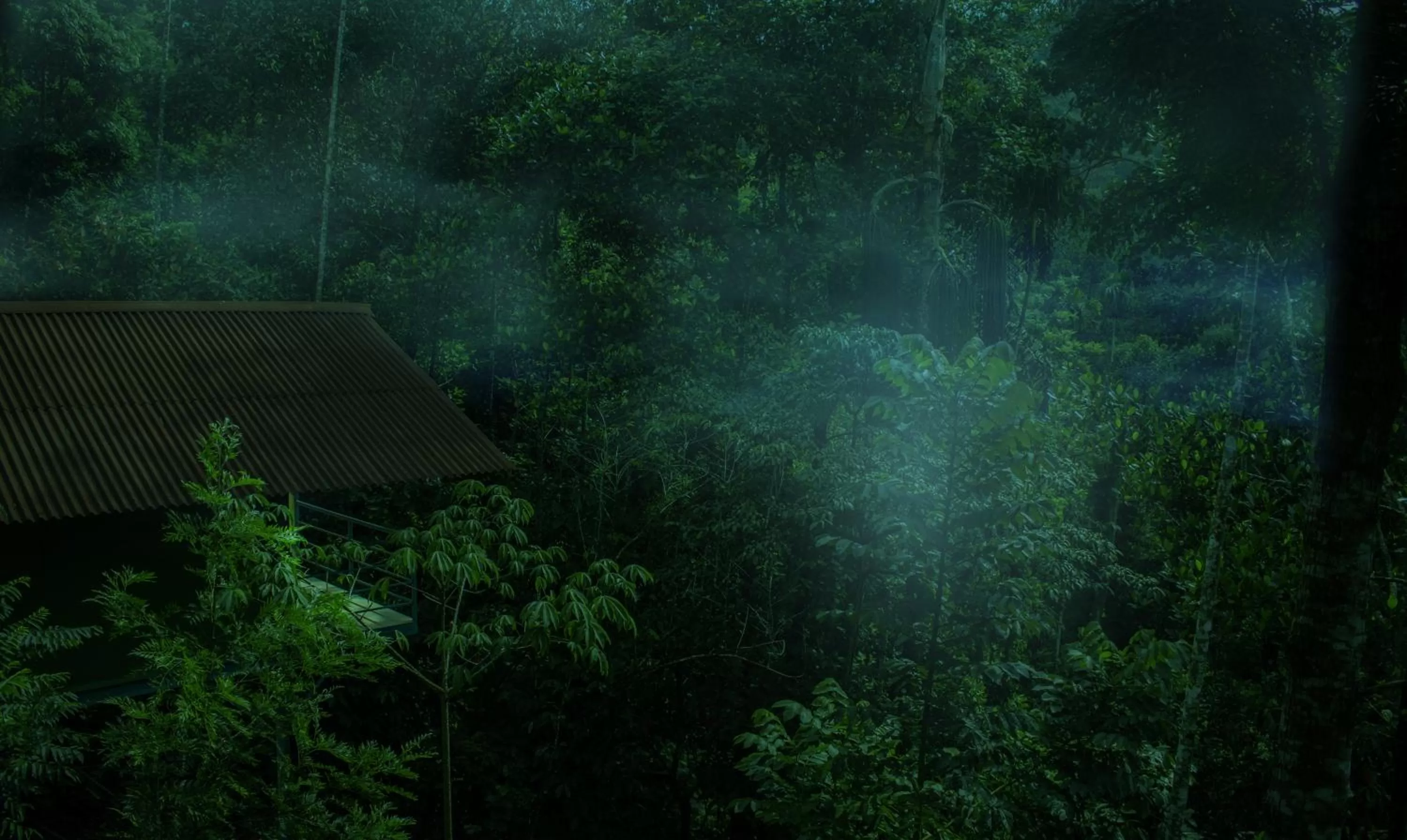 Natural landscape in Edens Munnar