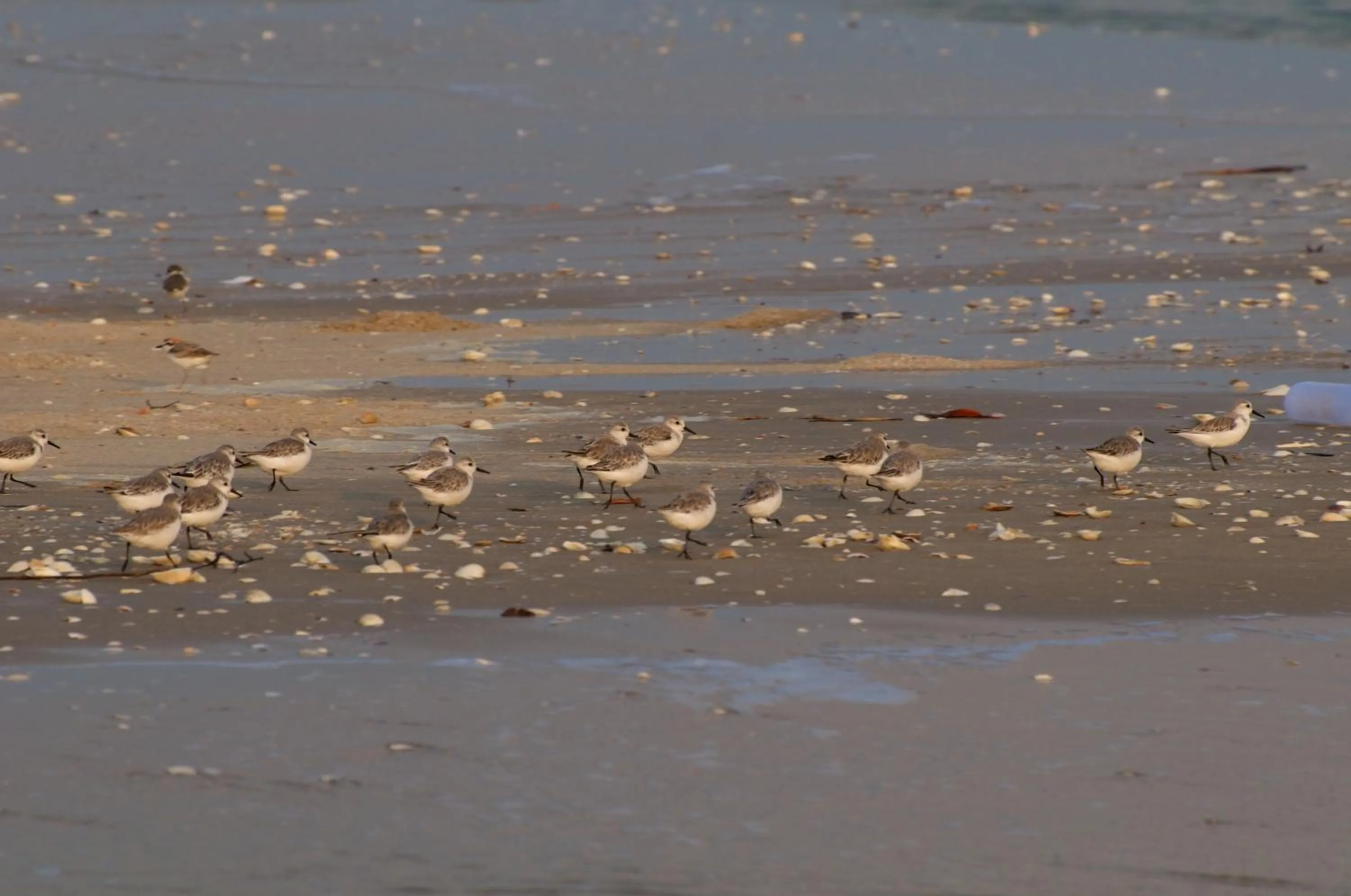 Nearby landmark in i Tara Resort & Spa