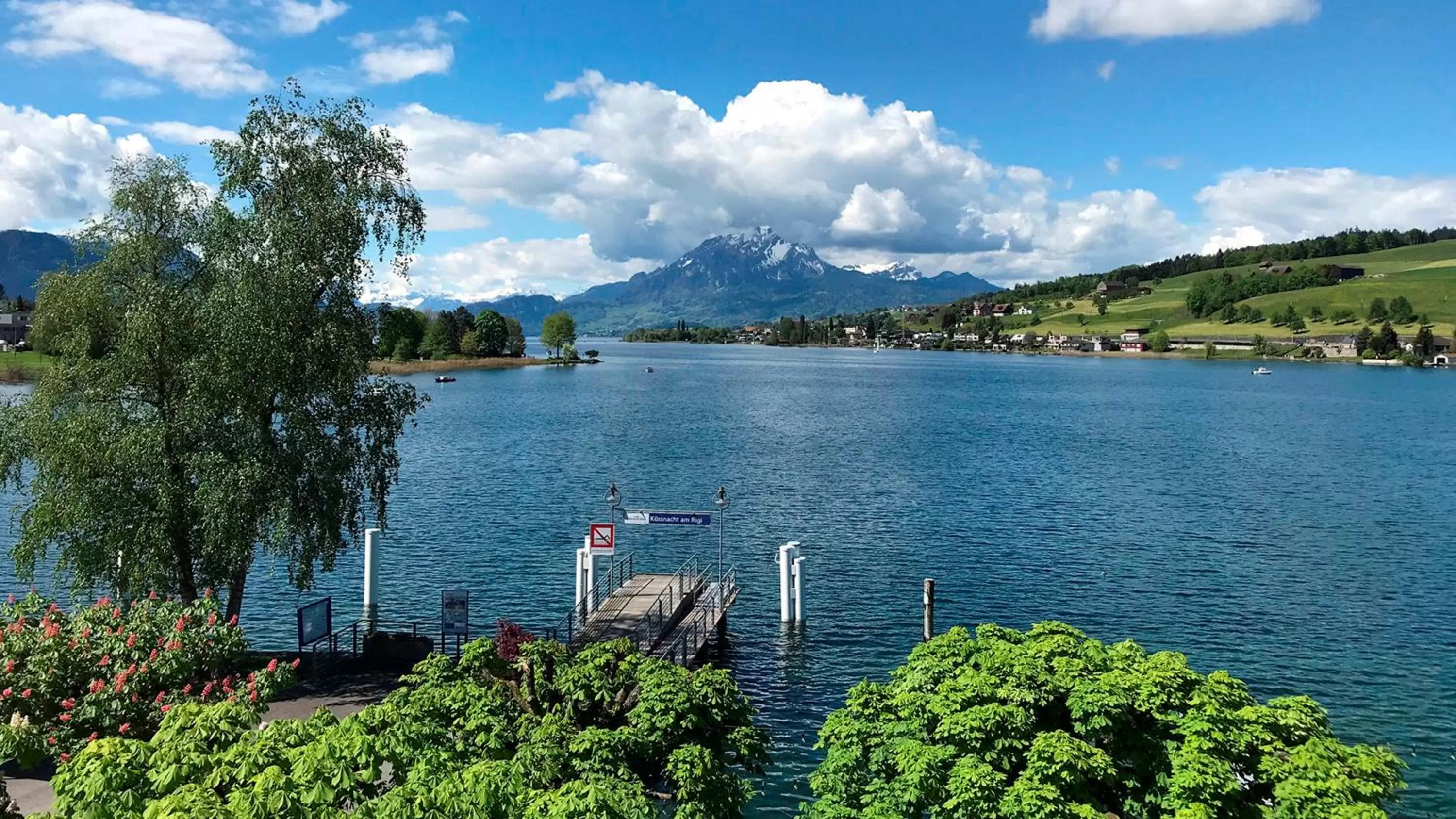 Lake view in Hotel Restaurant Seehof