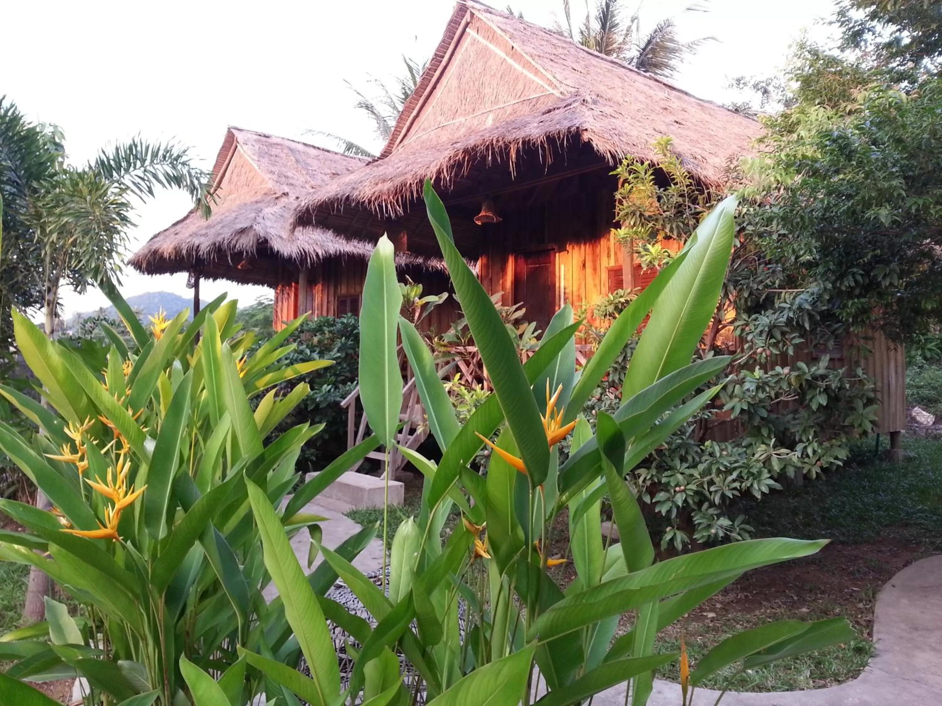 Garden in Bird of Paradise Bungalows