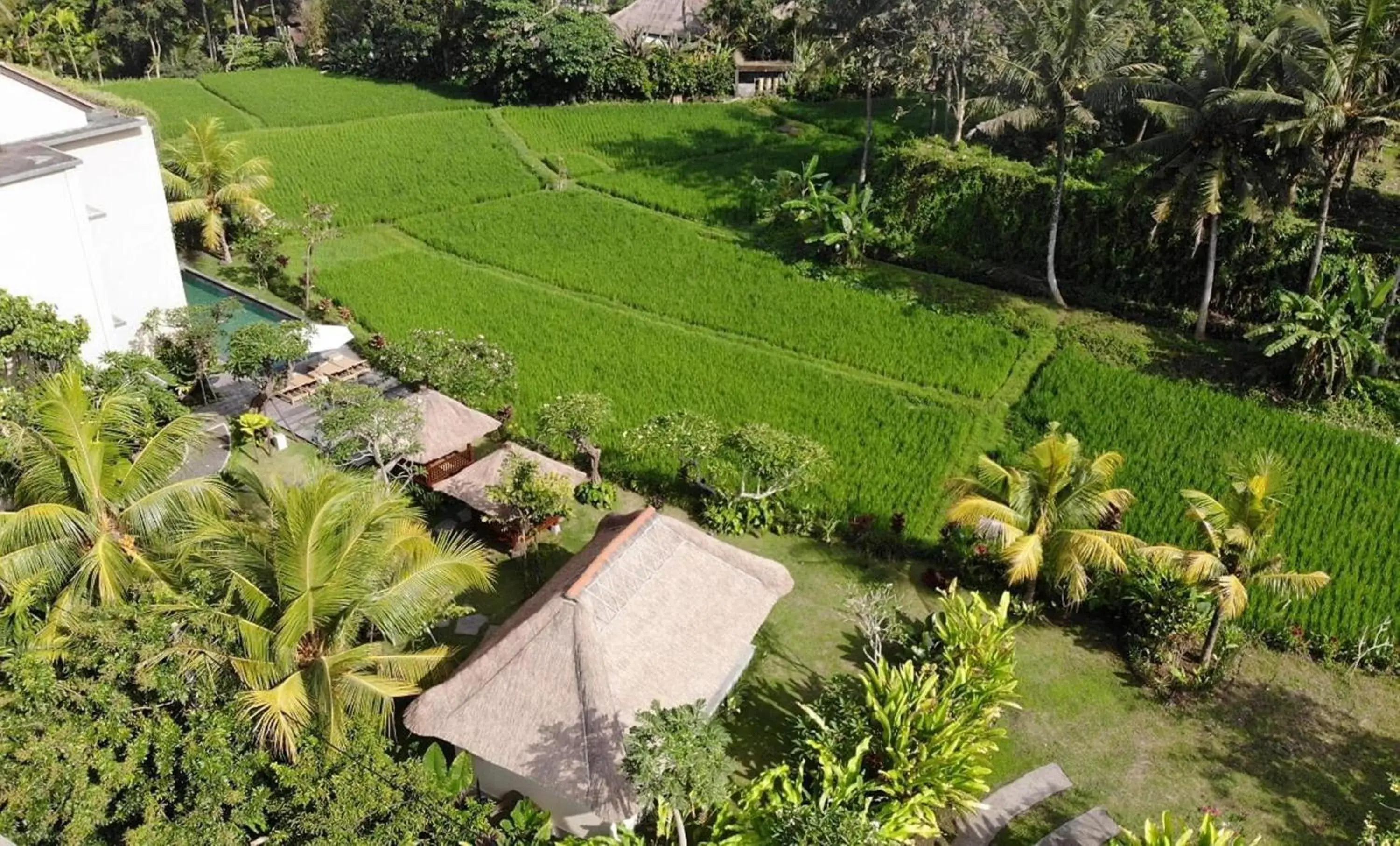 Garden, Bird's-eye View in Byasa Ubud Hotel