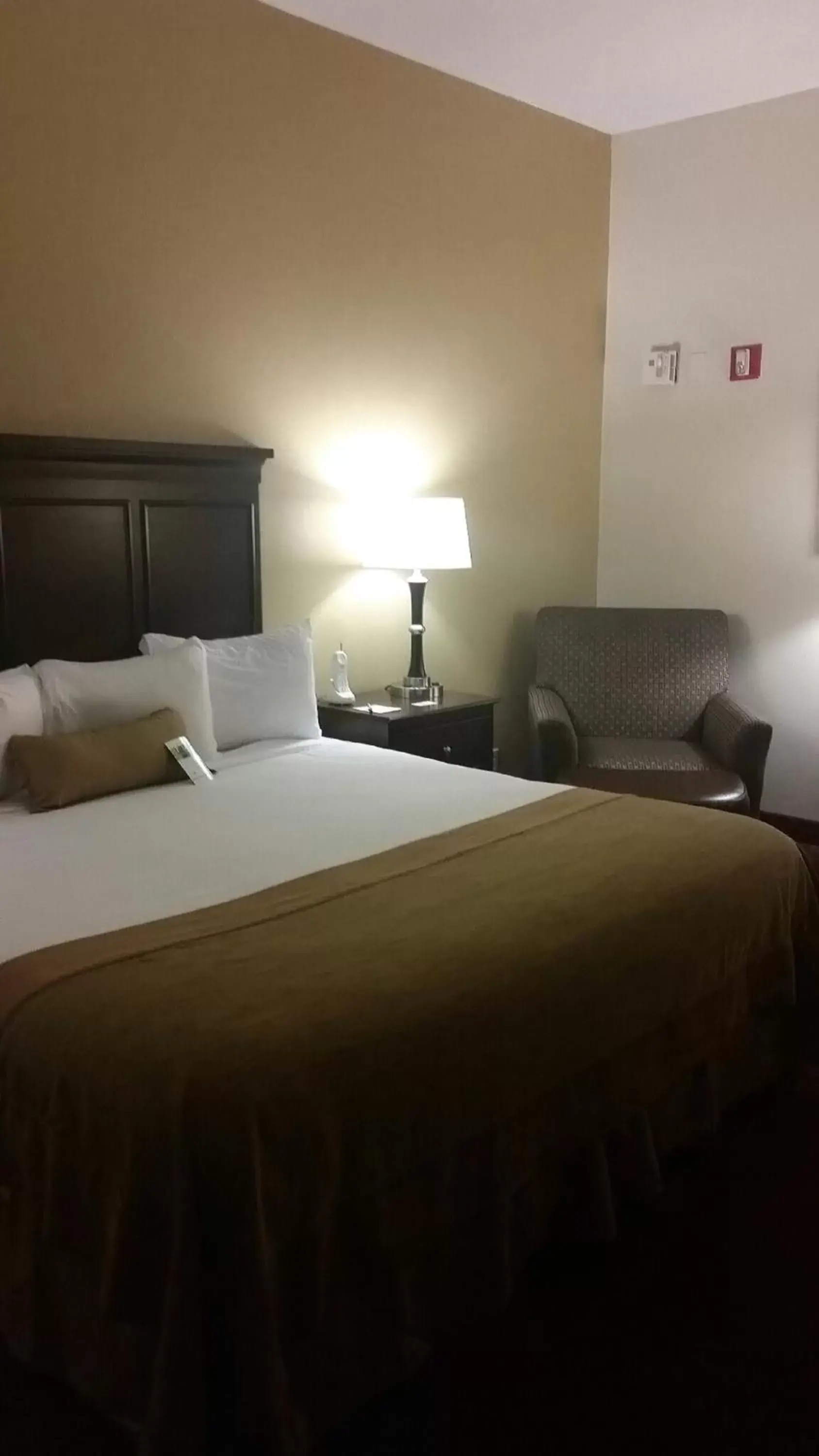 King Room - Disability Access - Non-Smoking in Wingate by Wyndham Greensboro