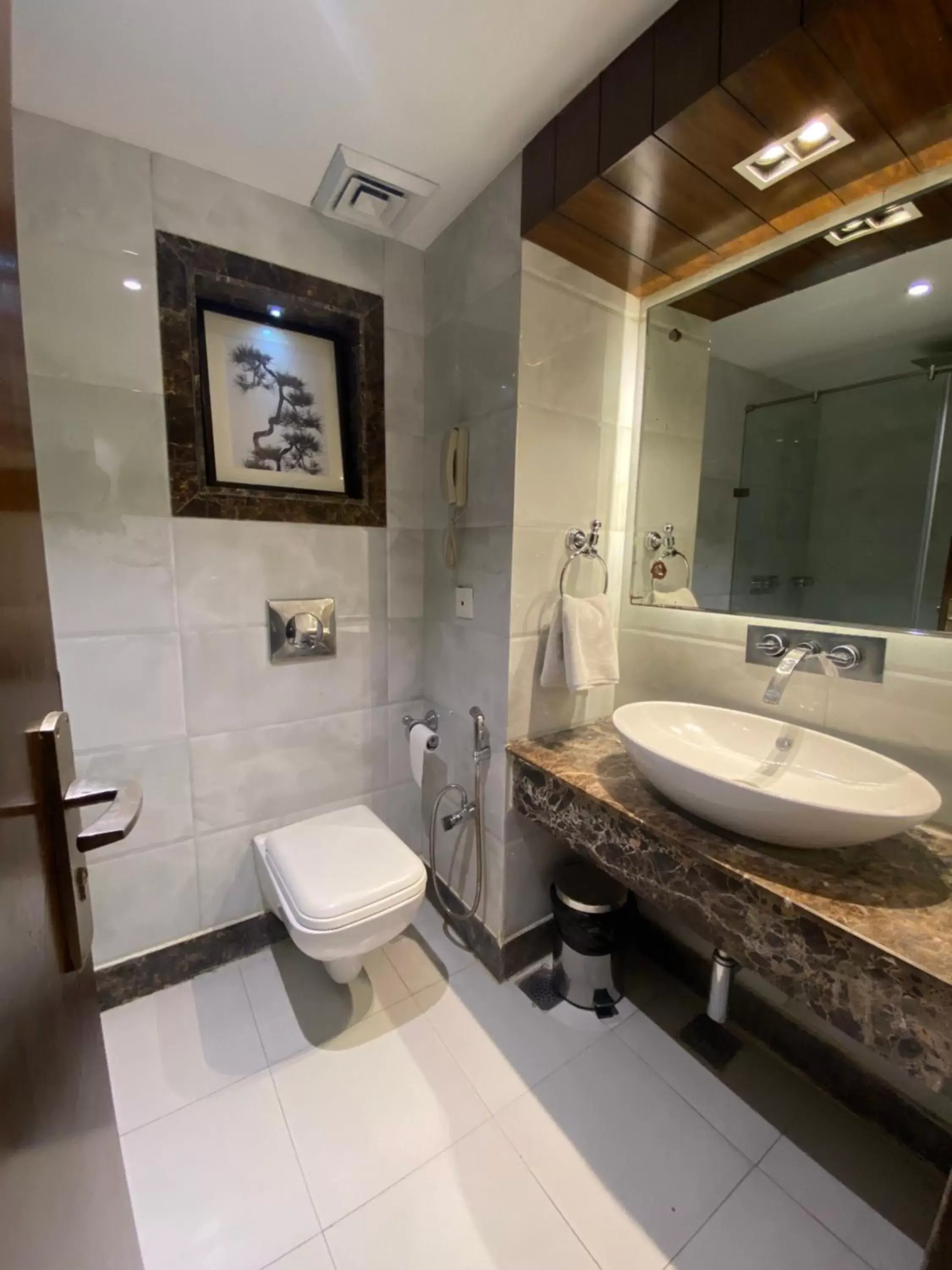 Toilet, Bathroom in Country Inn & Suites By Radisson Jammu