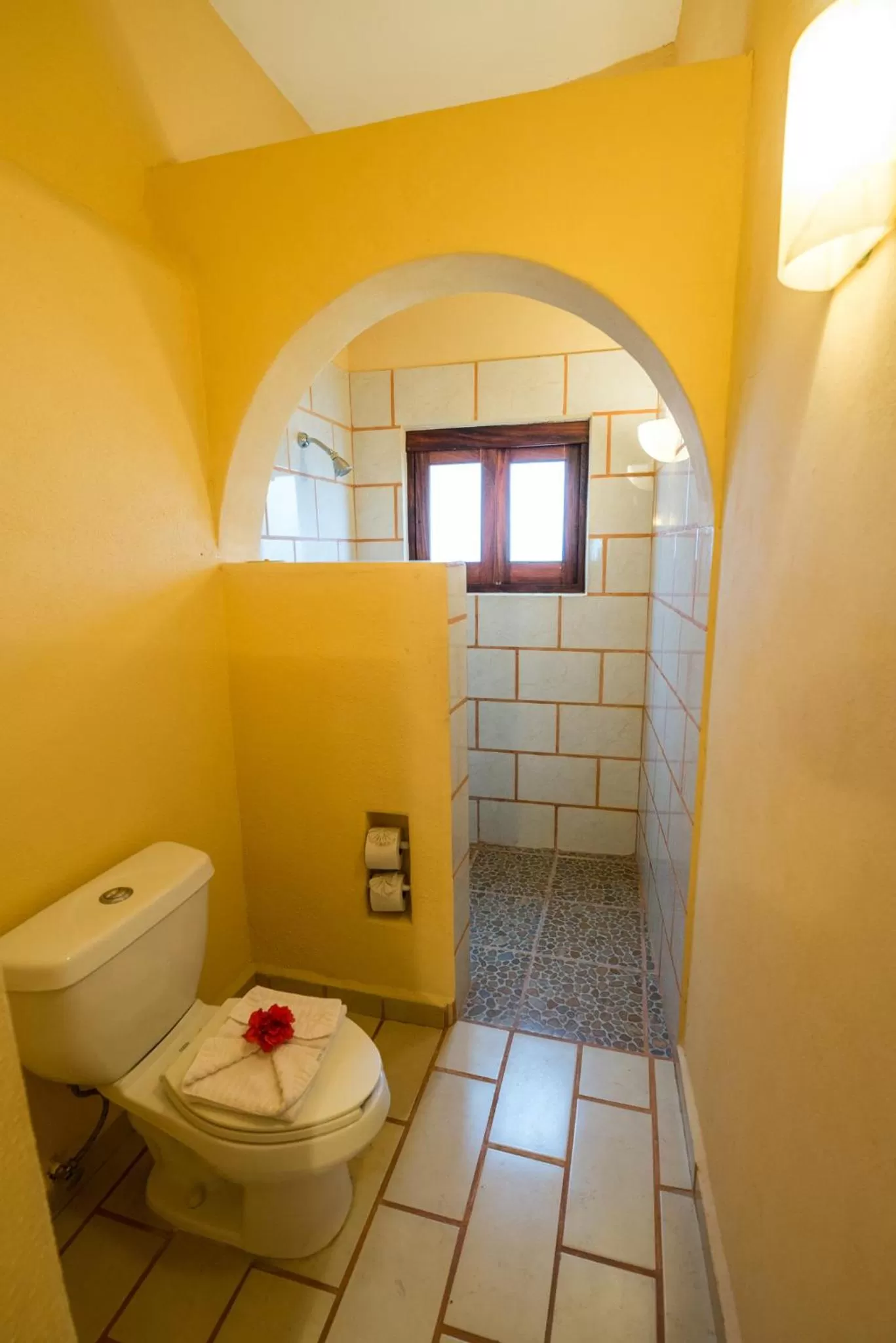 Toilet in Hotel Catalina Beach Resort