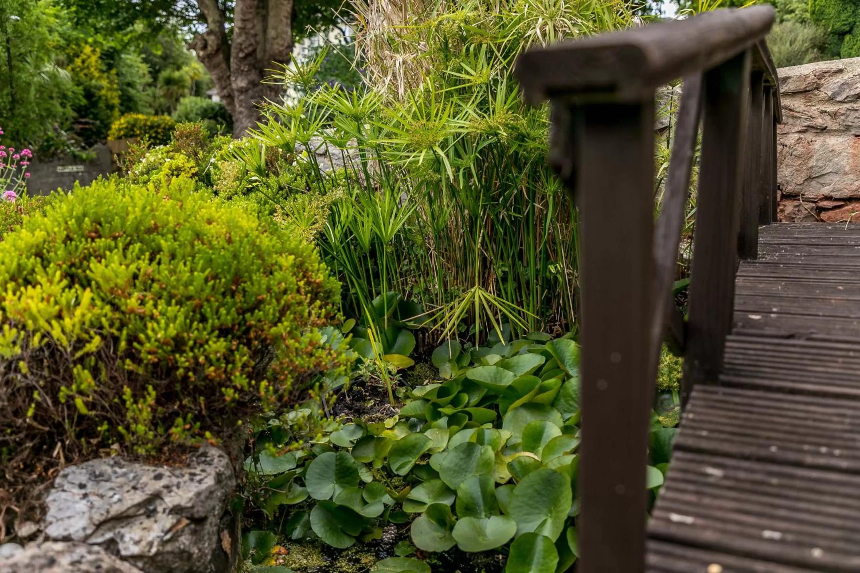 Garden in The Berburry