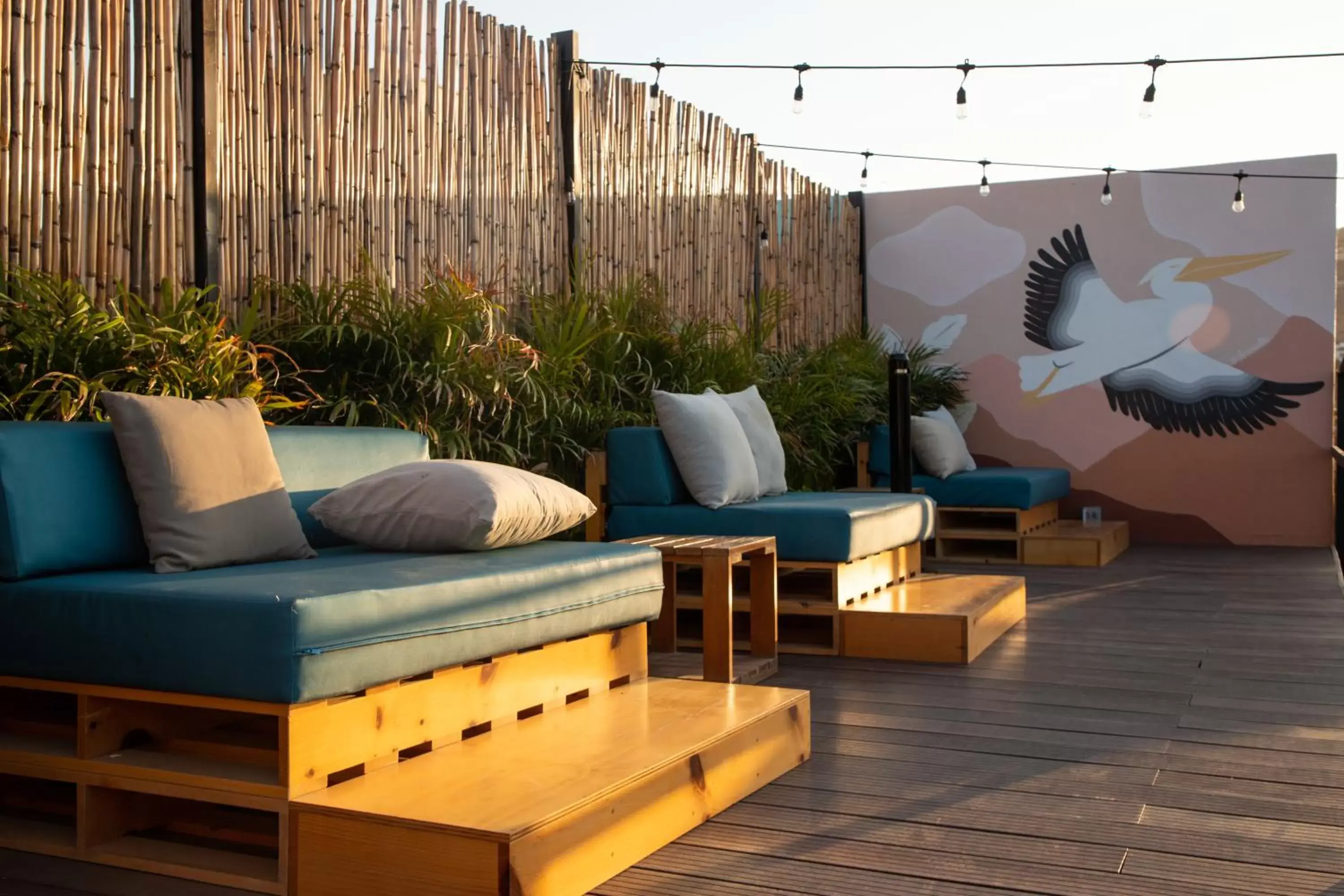 Patio, Seating Area in Mayan Monkey Los Cabos