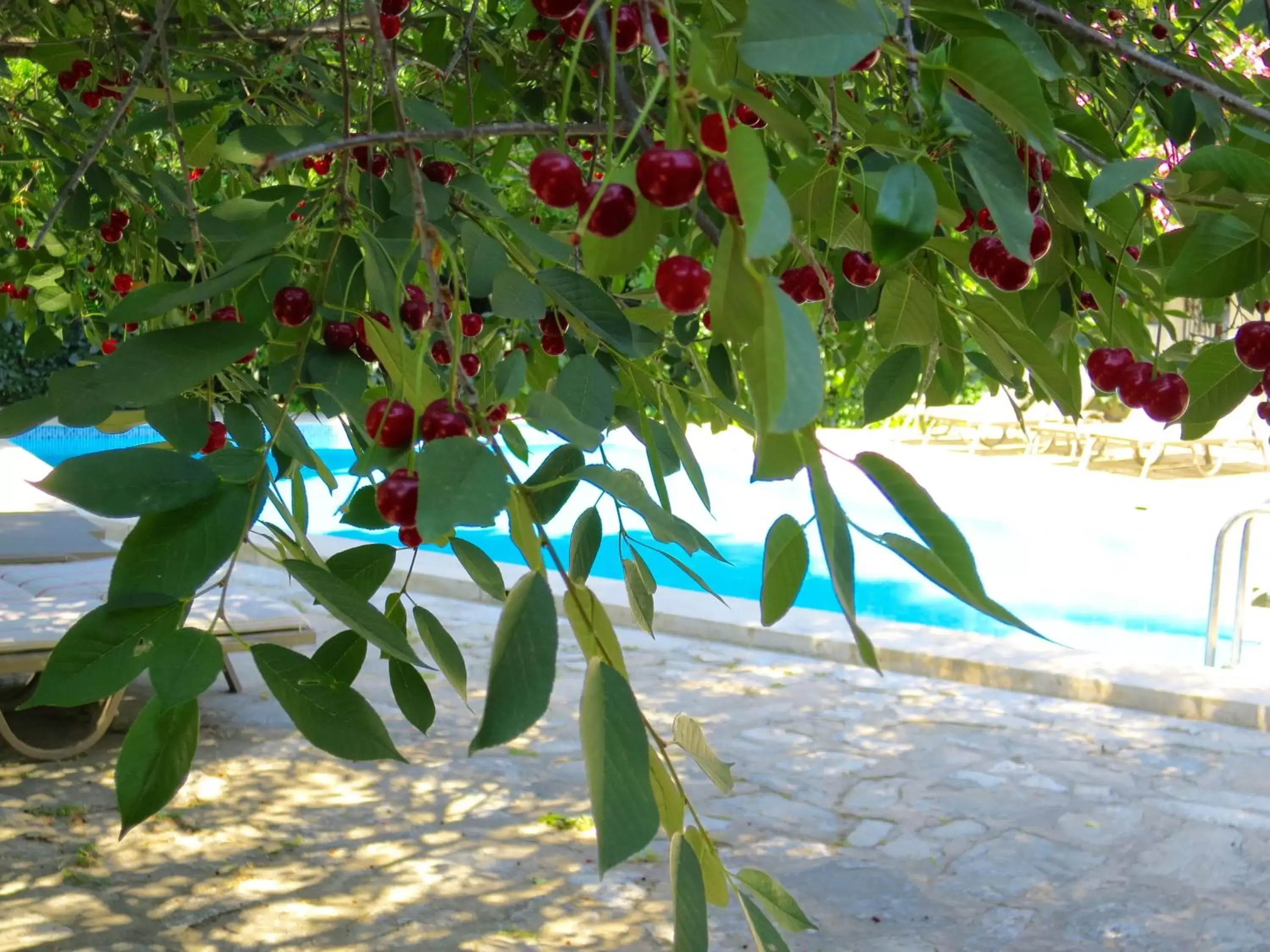 Pool view in Hotel Kalehan