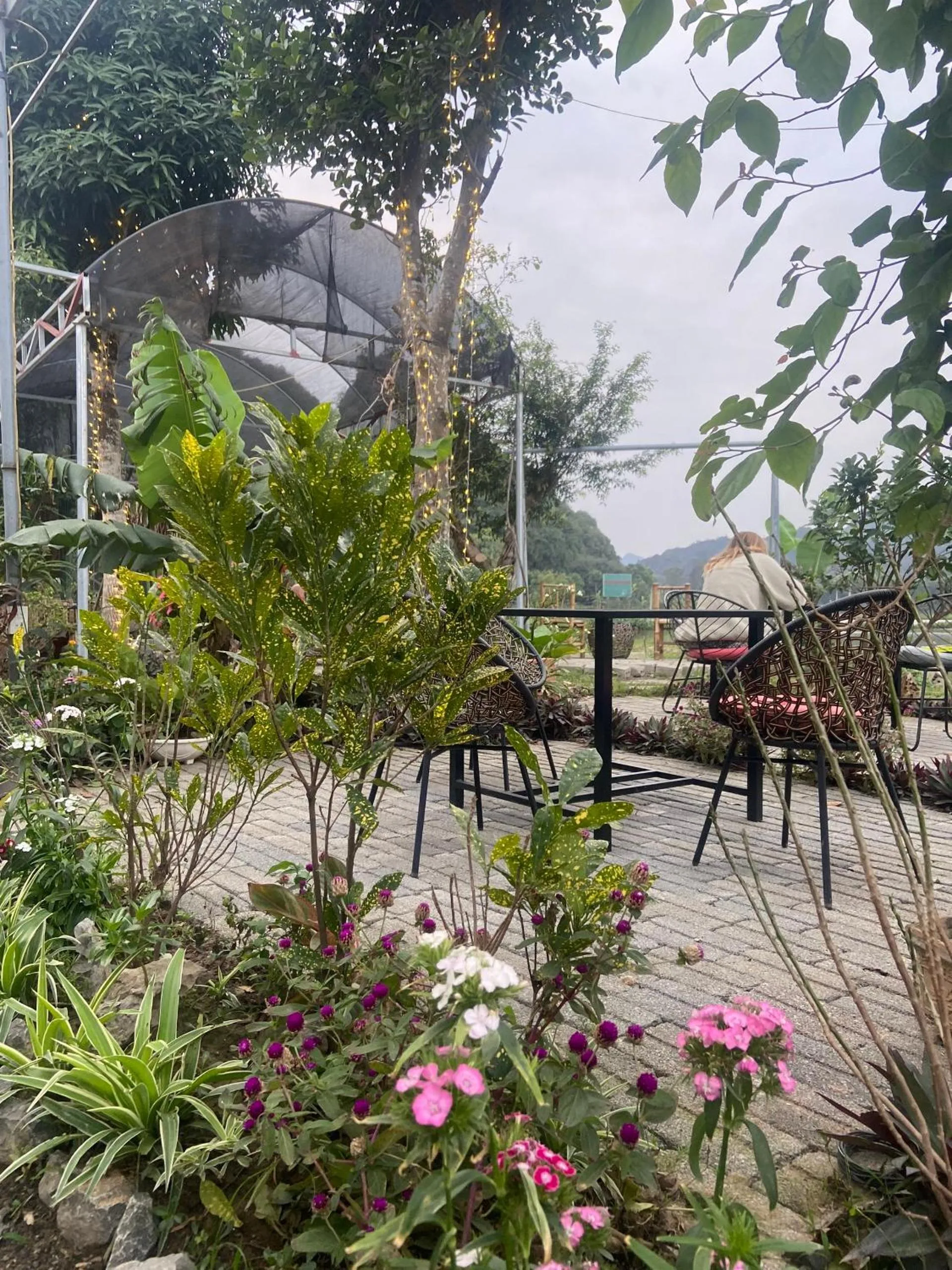 Tam Coc Mountain View Homestay