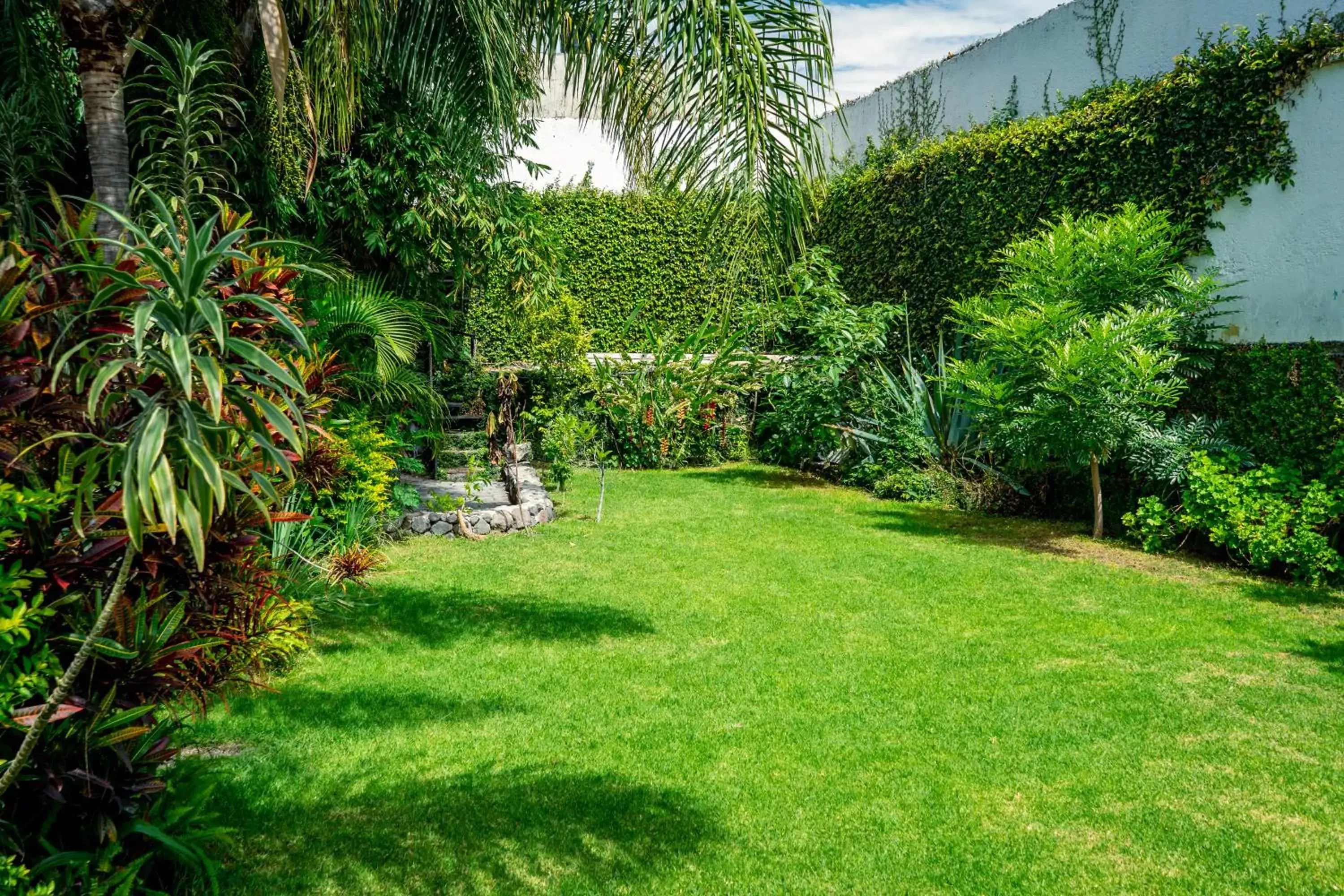 Garden in Hotel Vitorina